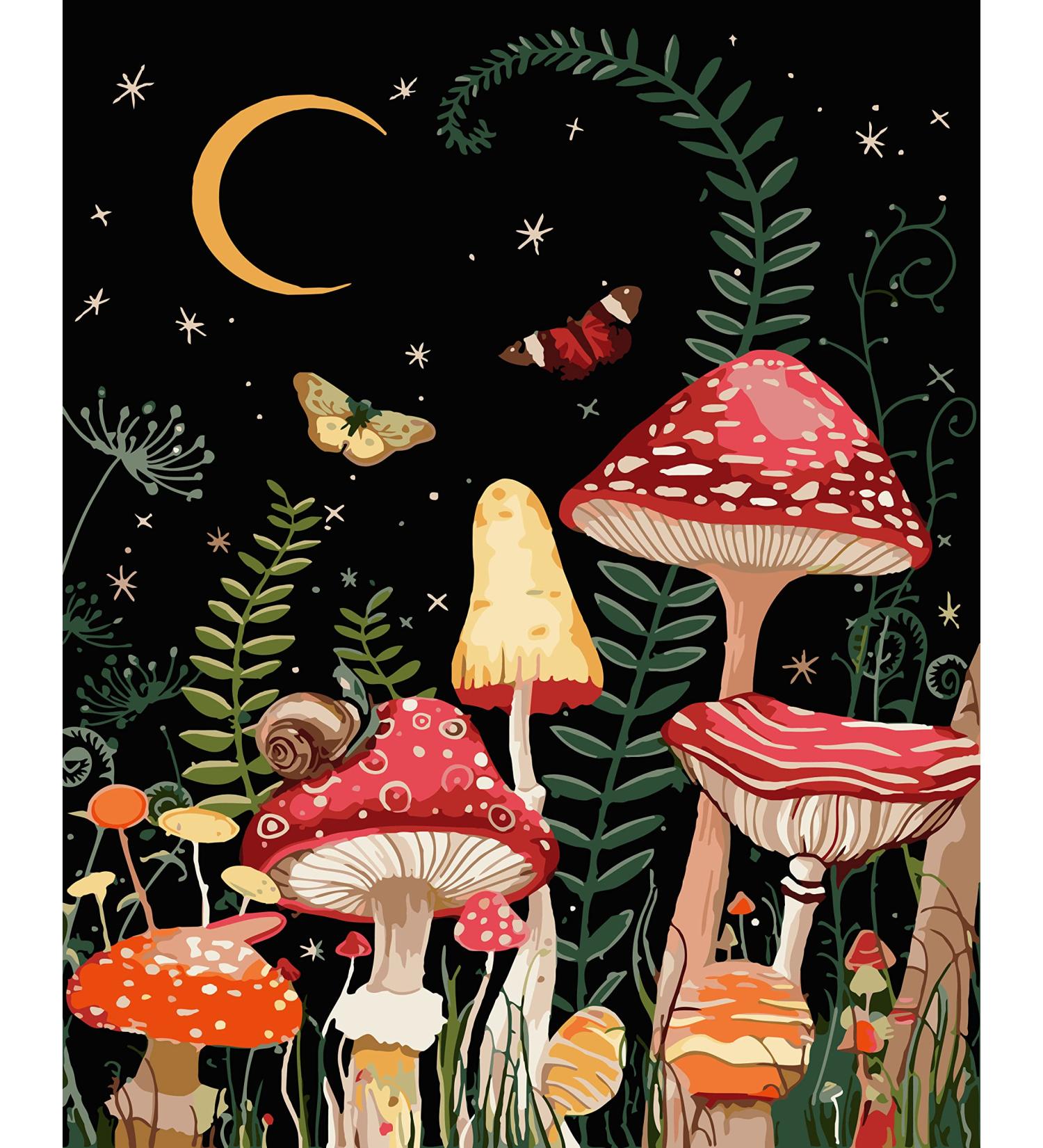 Adults Beginner Paint by Number Kit - Moon Mushroom Forest Butterfly DIY Painting - Canvas Gifts for Home Decor - 16x20 Inch - Buy Online on GoSupps.com