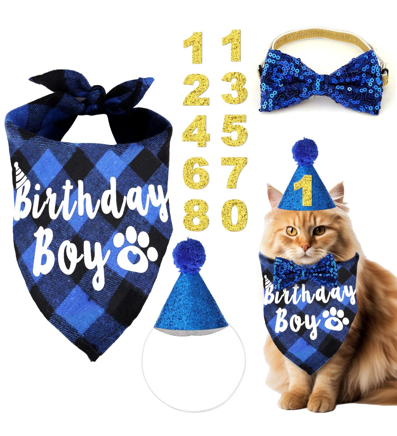 Cat Birthday Party Supplies with Birthday Hat Scarfs Tie Birthday Number Cat Birthday Bandana Cat Themed Birthday Party Decor for Cat Party Decoration (Blue) - Buy Online on GoSupps.com