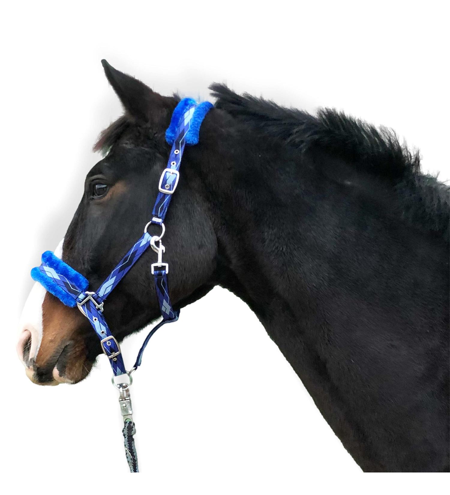 Shop Premium Blue Fur Lined Halters for Horses - Sizes: XFull Pony Cob Warmblood | International Shipping Available - Buy Online on GoSupps.com