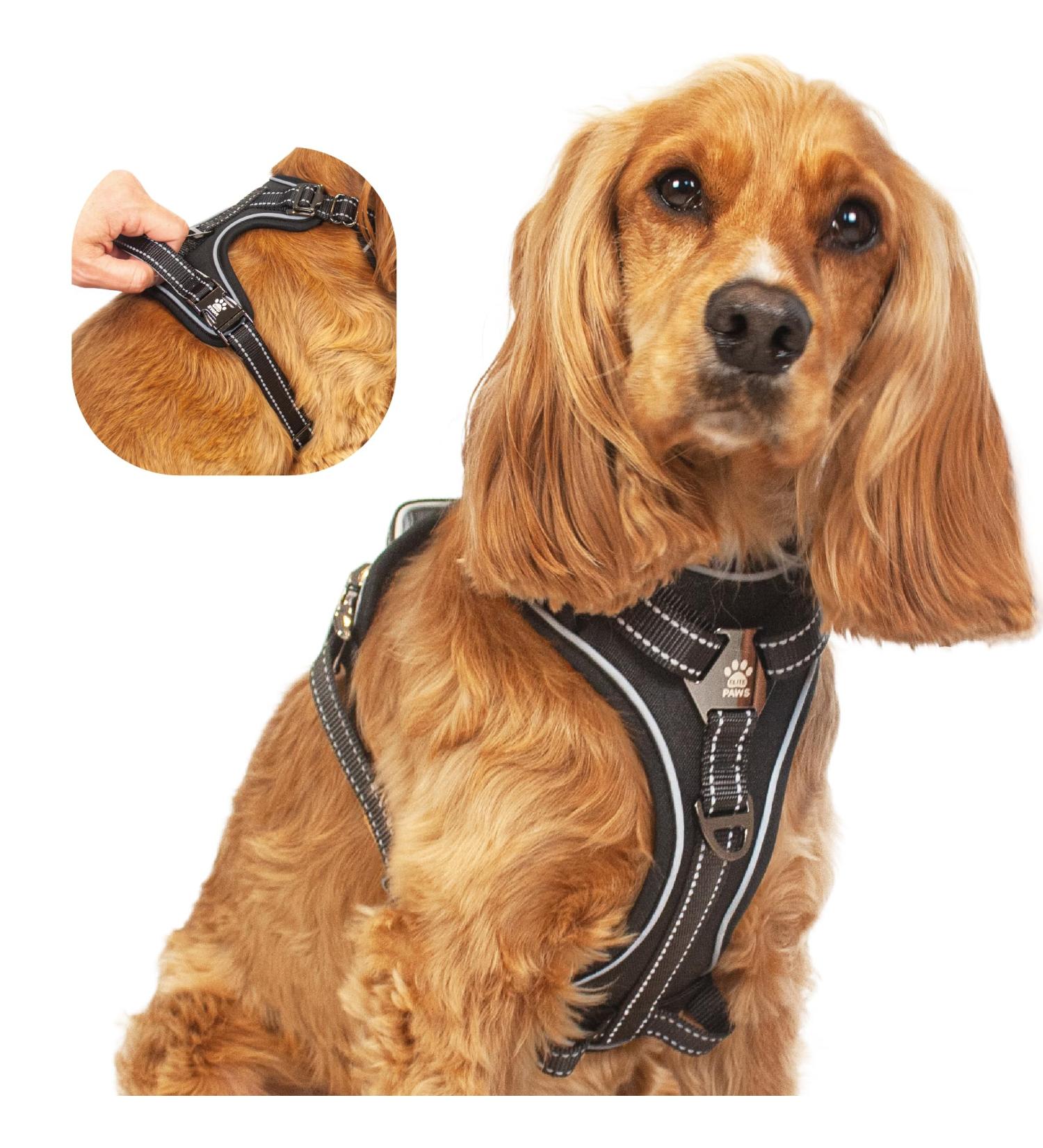 Elite Paws UK Premium Metal Buckle Dog Harness - Black Medium | Adjustable, Reflective, Padded Comfort | Front/Back Lead Attachments | Soft Handle Pet Walking Vest - Buy Online on GoSupps.com