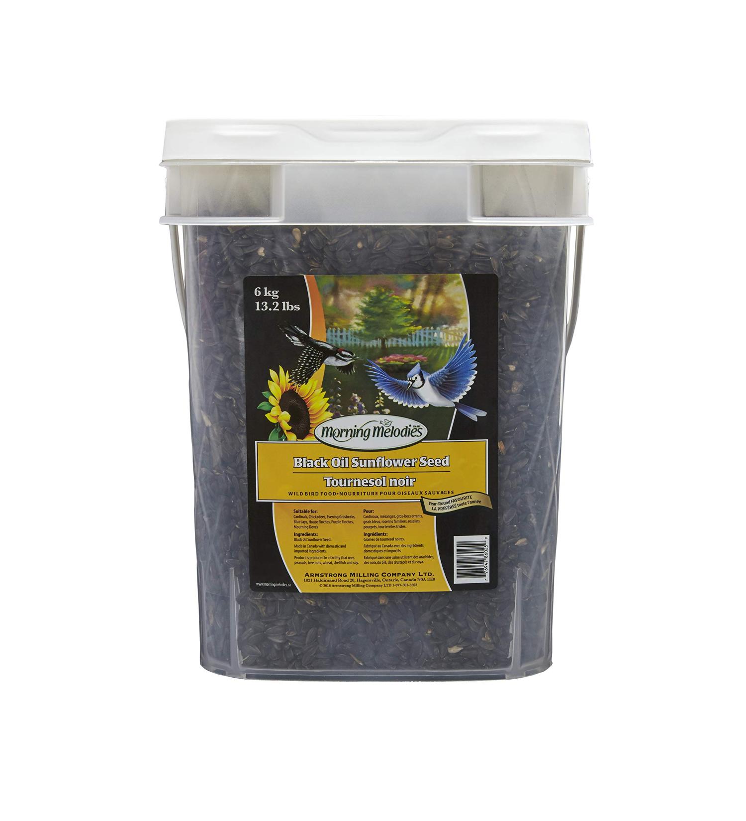 Morning Melodies 406-262 Black Oil Sunflower Seed Pail 6kg 1 Piece Small