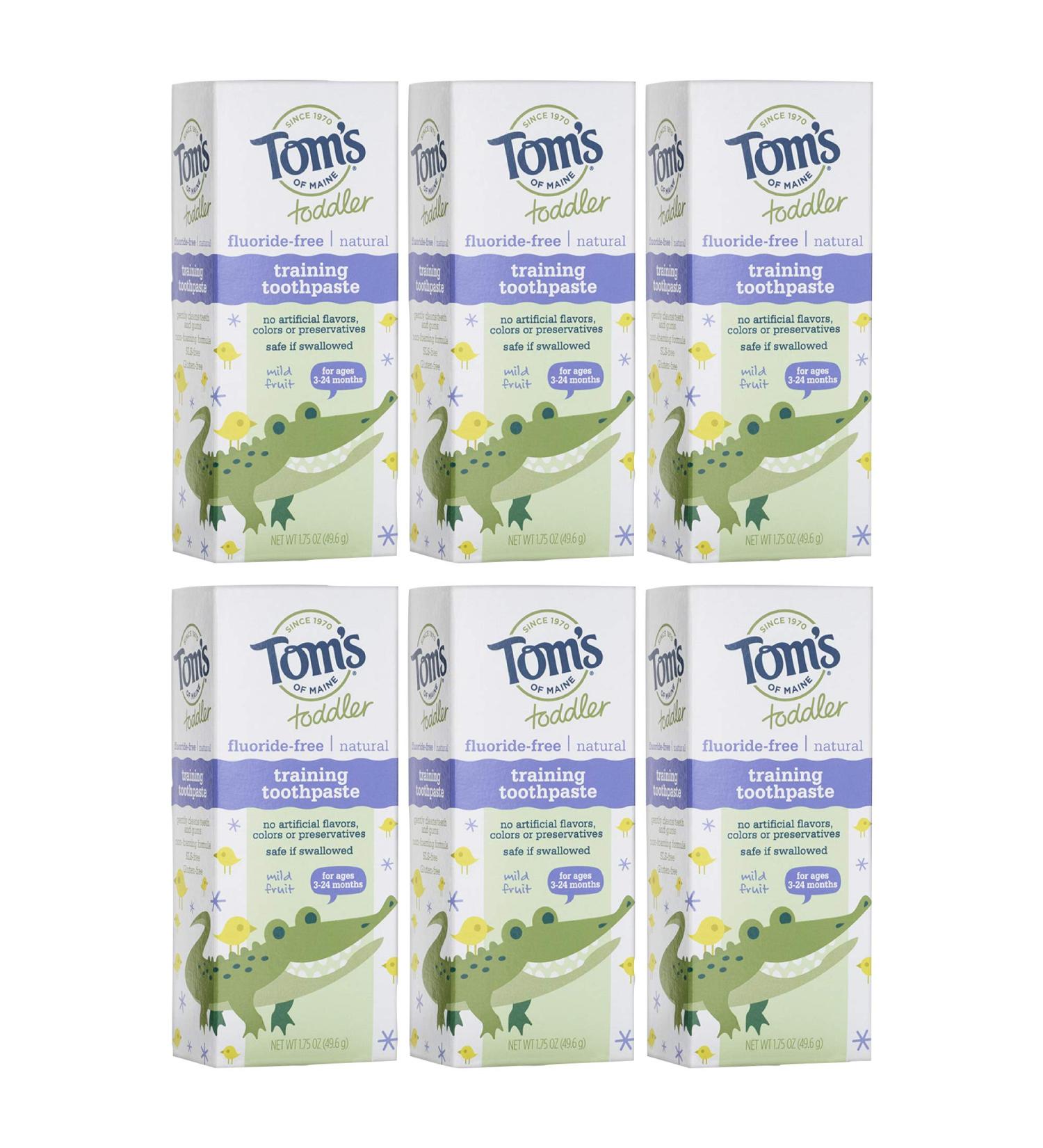 Tom's of Maine Toddlers Fluoride-Free Natural Toothpaste in Mild Fruit Gel  1.75 Ounce (Pack of 6) - Buy Online on GoSupps.com