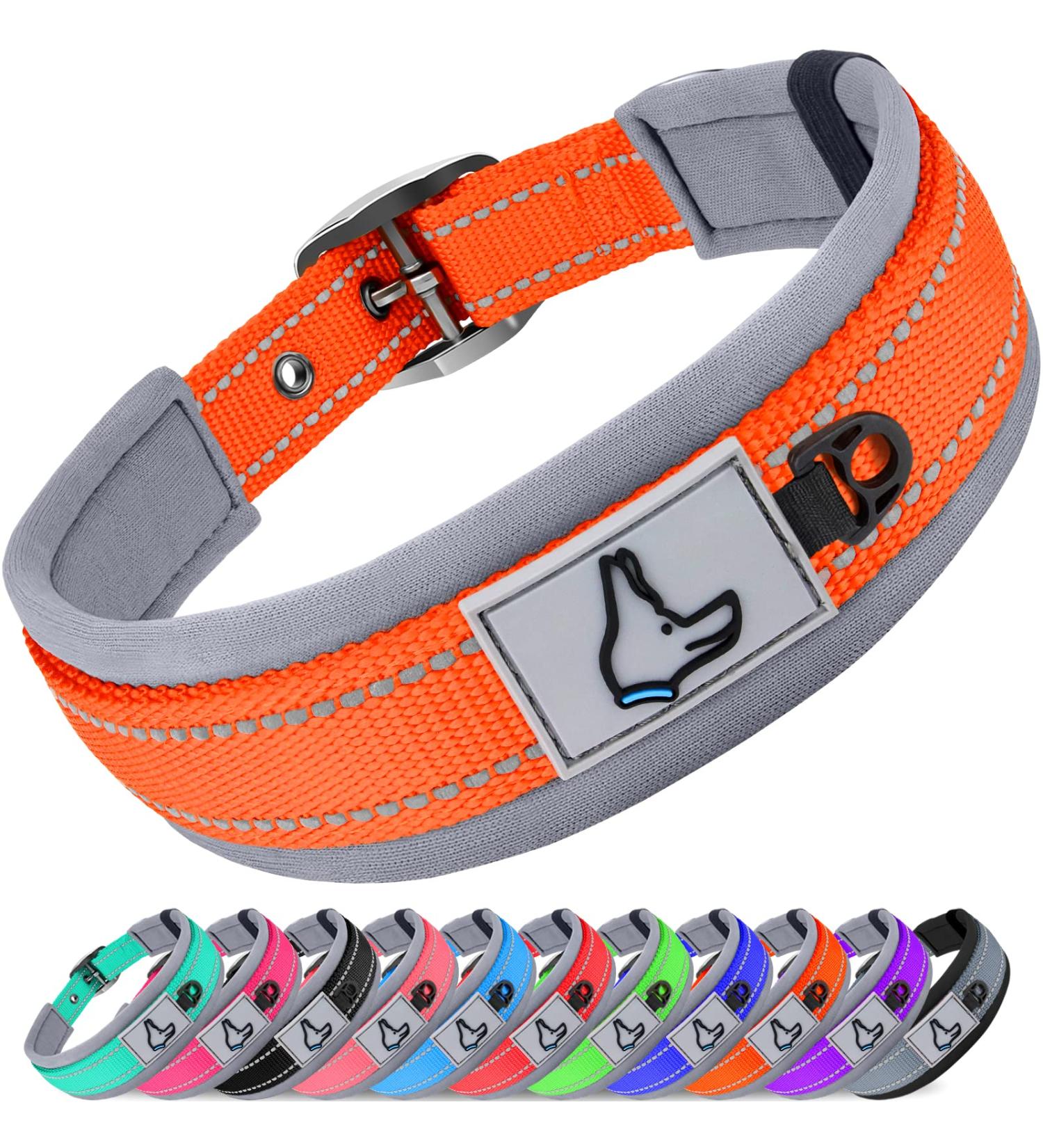 Joytale Softly Padded Neoprene Dog Collar for Small Dogs - Reflective Nylon Orange S (1 Pack) | Best International Shipping - Buy Online on GoSupps.com