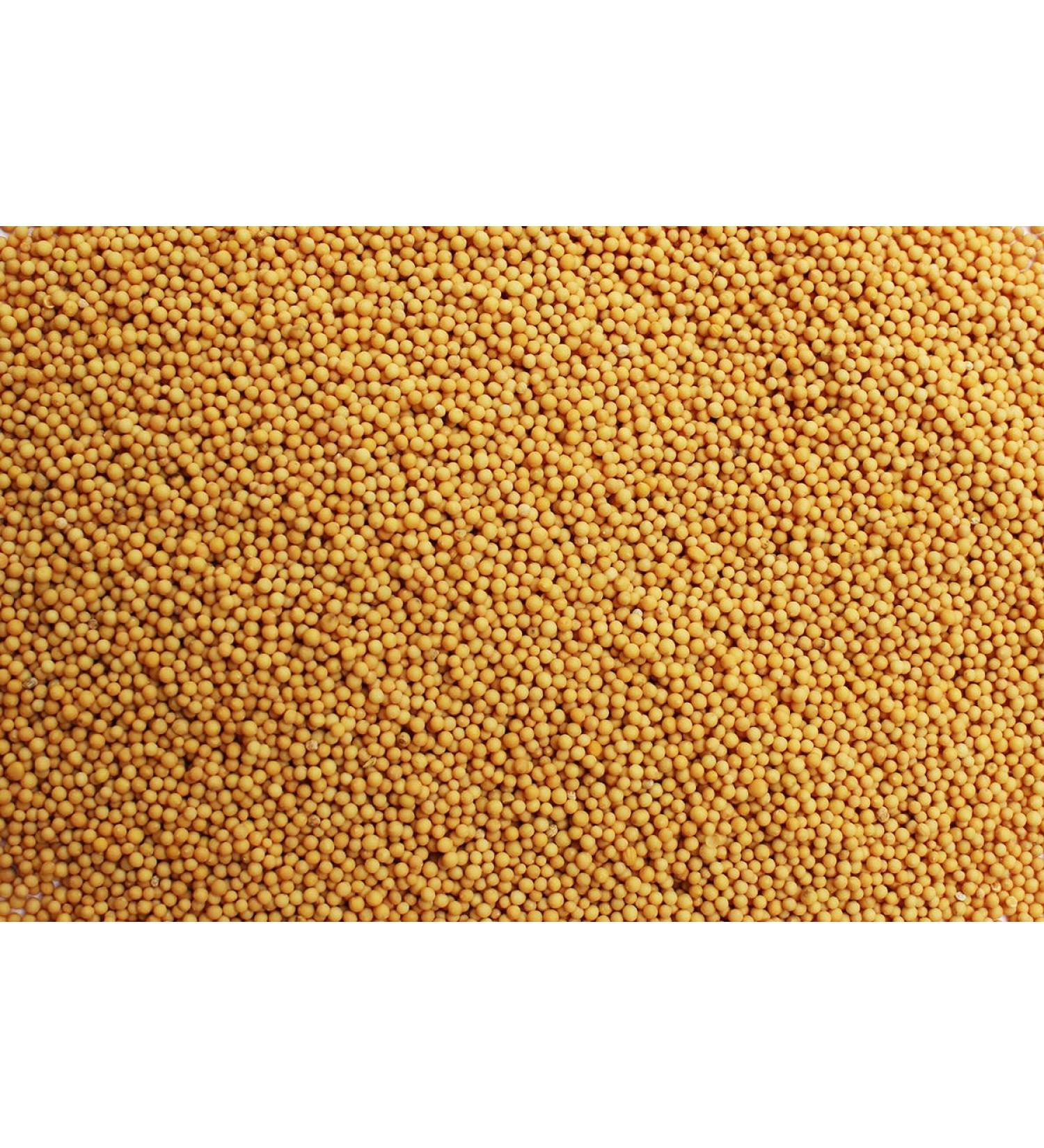 Balsara's Ltd 1kg | Pure Yellow Mustard Seeds / Brown Mustard Seeds Rai Sarson Cooking Asian Herbs & Spices Balsara's Ltd