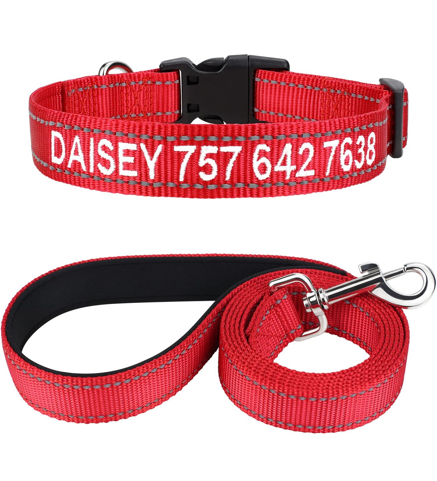 Shop Tagme Reflective Dog Collar & Leash Set - Personalizable XS Red 1.5m Dual-Sided Leash for Small Dogs - Buy Online on GoSupps.com
