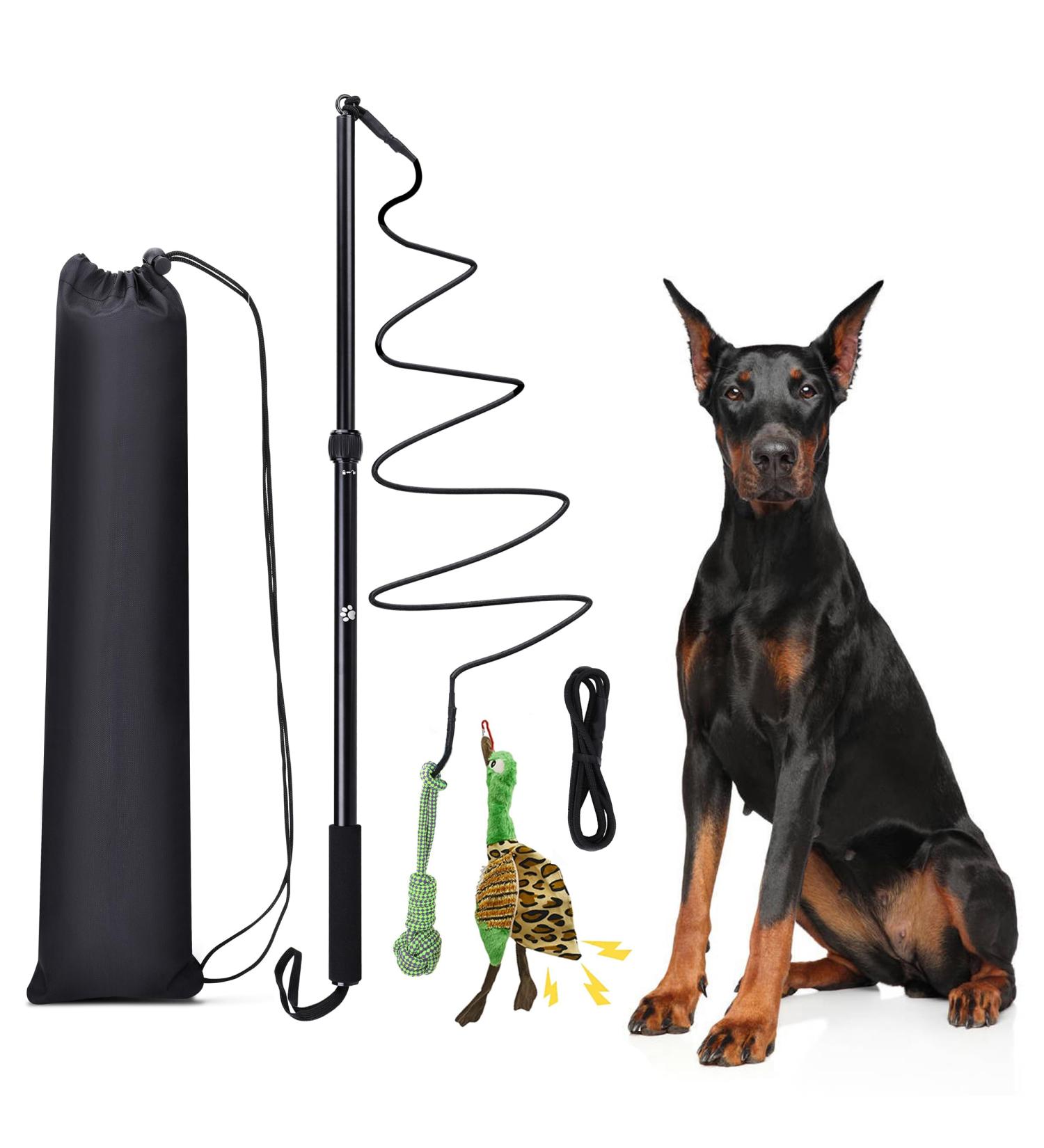 KOXXUD Professional Dog Toy for Big & Small Dogs Martin R tter Cable Balls & Duck for Ultimate Fun & Physical Activity - Buy Online on GoSupps.com