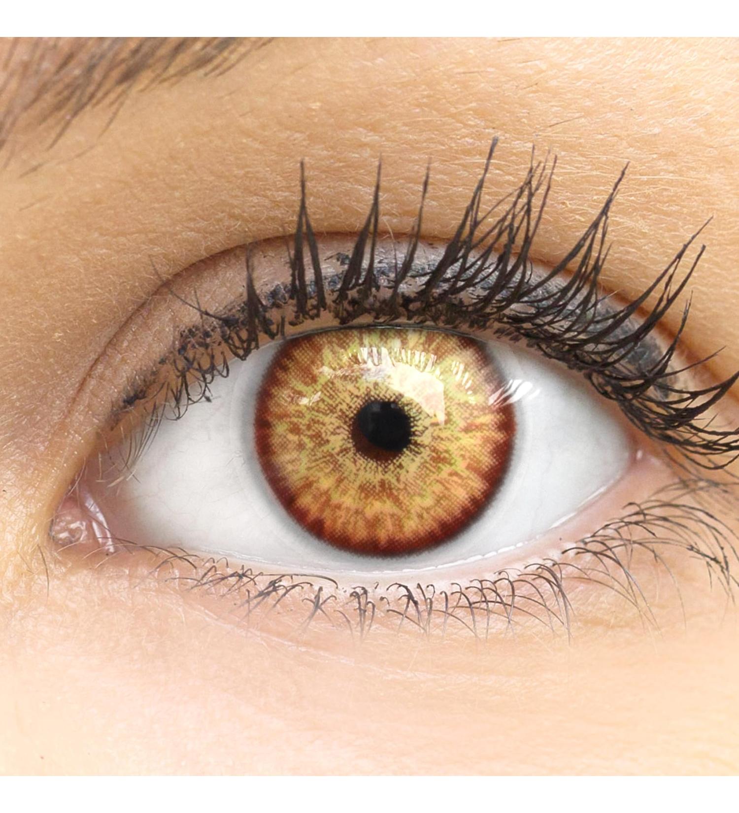 Buy Ibiza Brown Colored Contact Lenses - Monthly Soft Hydrogel 0.0 Diopters 2 Pieces + Lens Container - Natural Colors Series - Buy Online on GoSupps.com