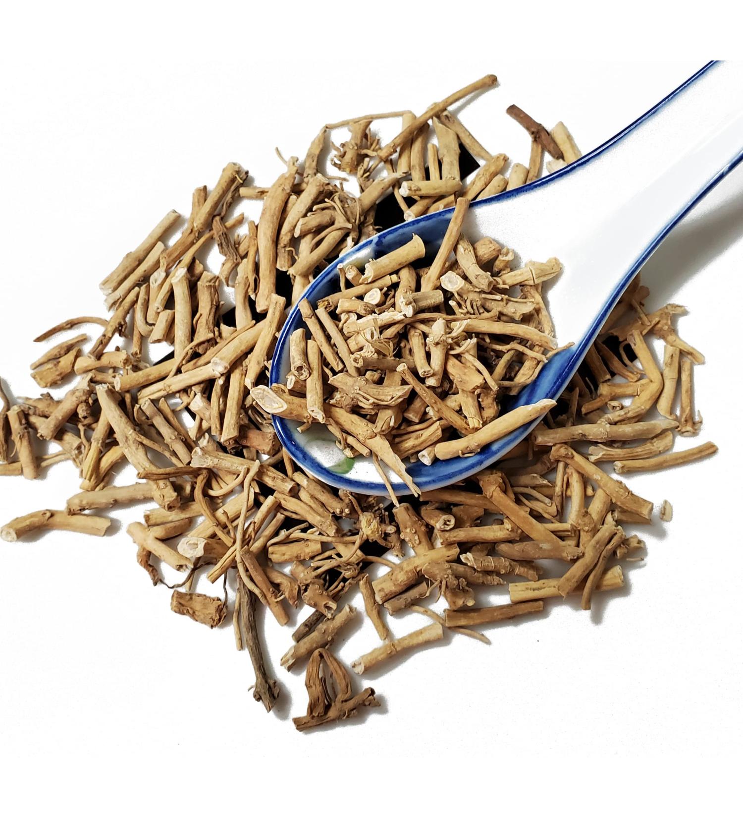 TCM Herbs USA Bai Qian / Radix Cynanchi Stauntoni Rhizoma / Cynanchun Root and Rhizome (4 oz)