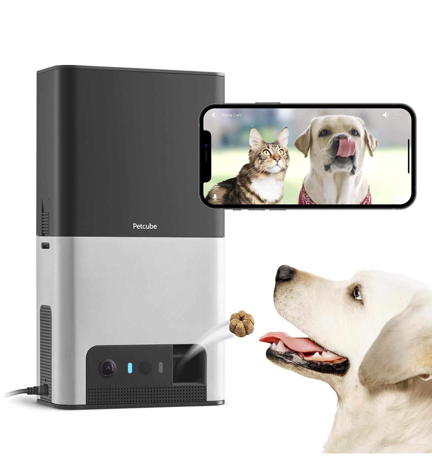 Petcube Bites 2: Wi-Fi Pet Camera with Treat Dispenser & Alexa Built-in | 1080p HD Video | 160 Full-Room View | 2-Way Audio | Night Vision | Pet Monitor for Dogs and Cats - Buy Online on GoSupps.com