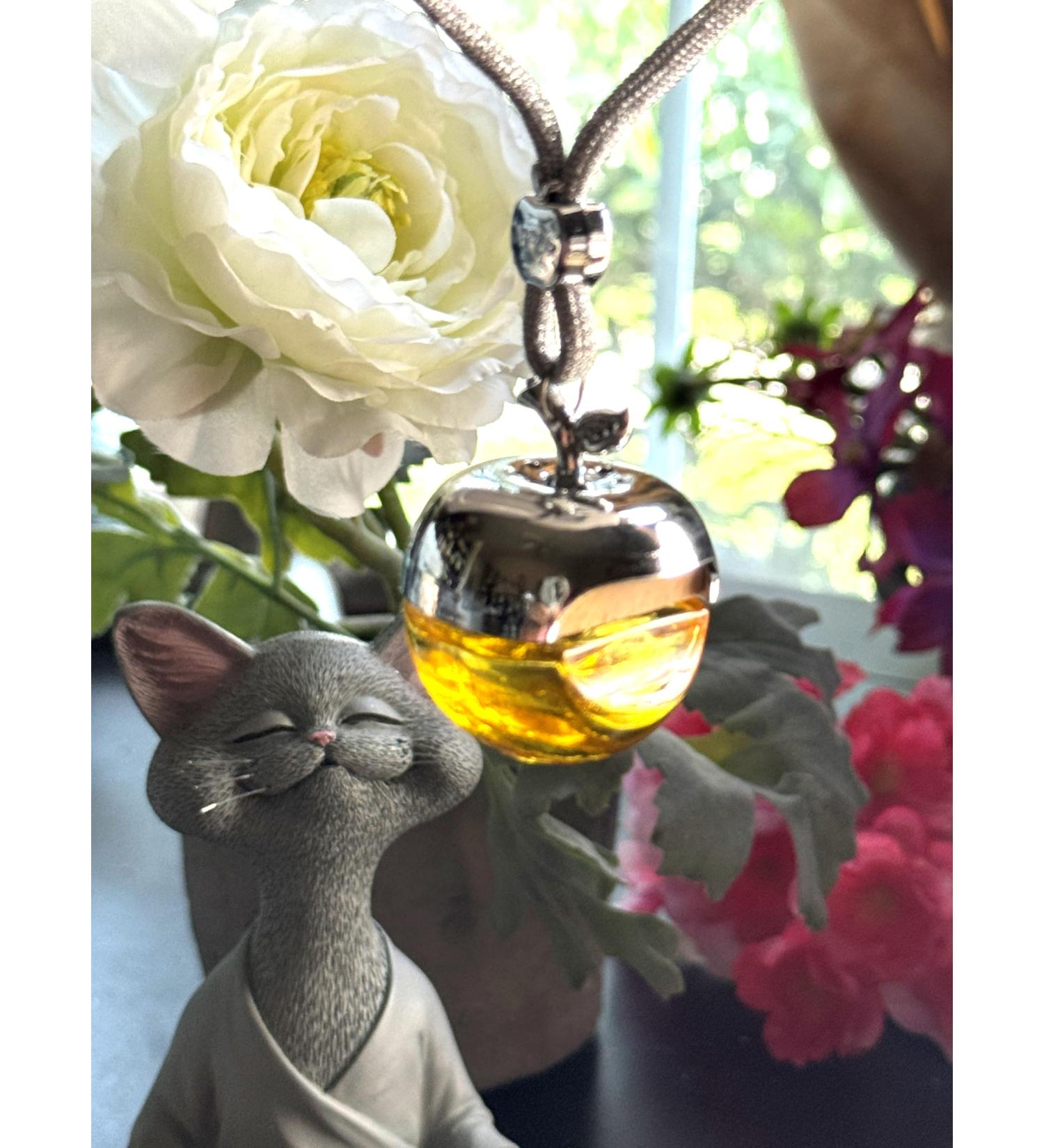 Money Abundance Prosperity Wishing Spell Air Diffuser | Conjure Ritual Oil & Incense Alternative | Best Spells Magick - Buy Online on GoSupps.com