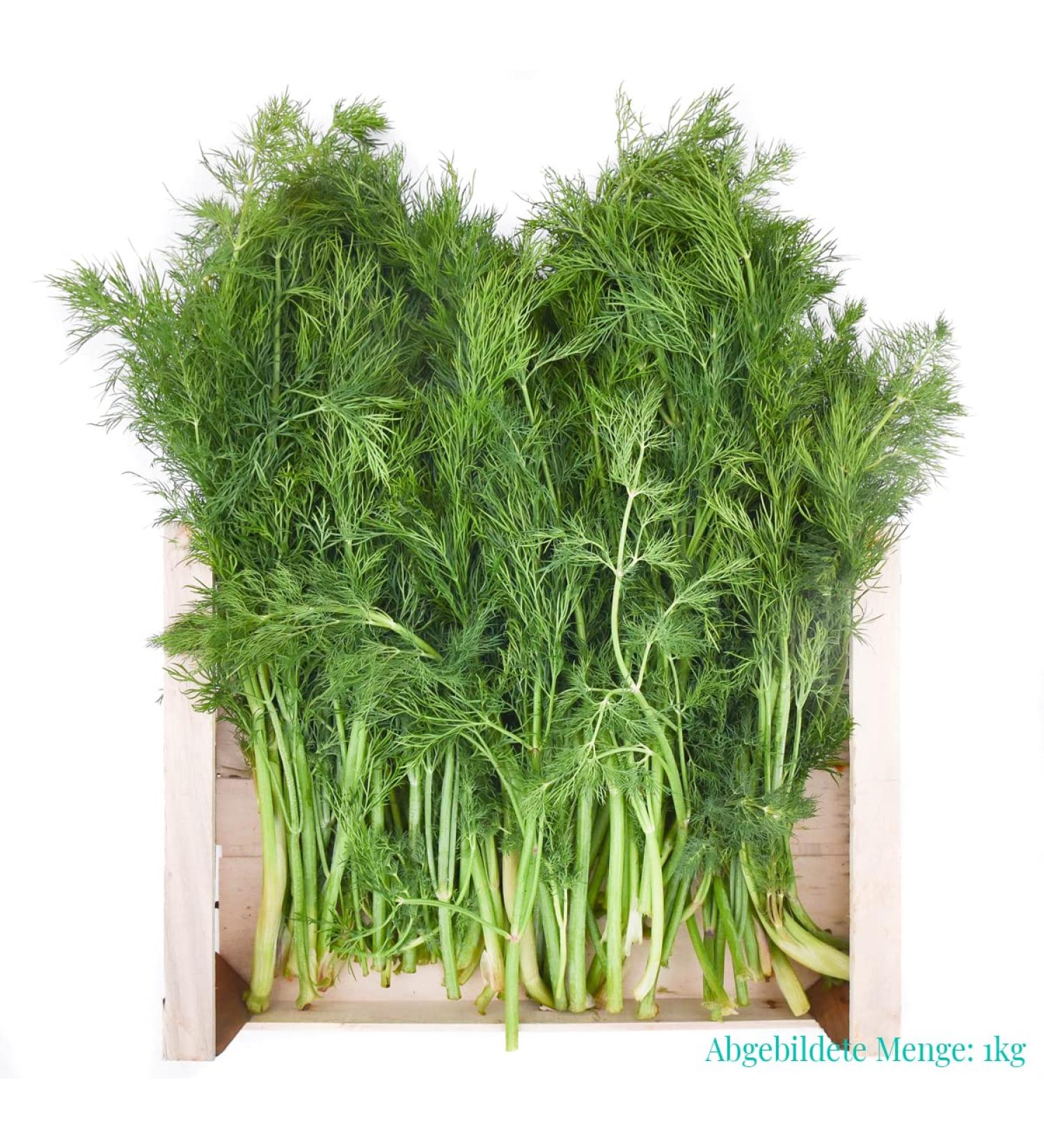 gr nhopper Dill Green Storage Box 2 kg