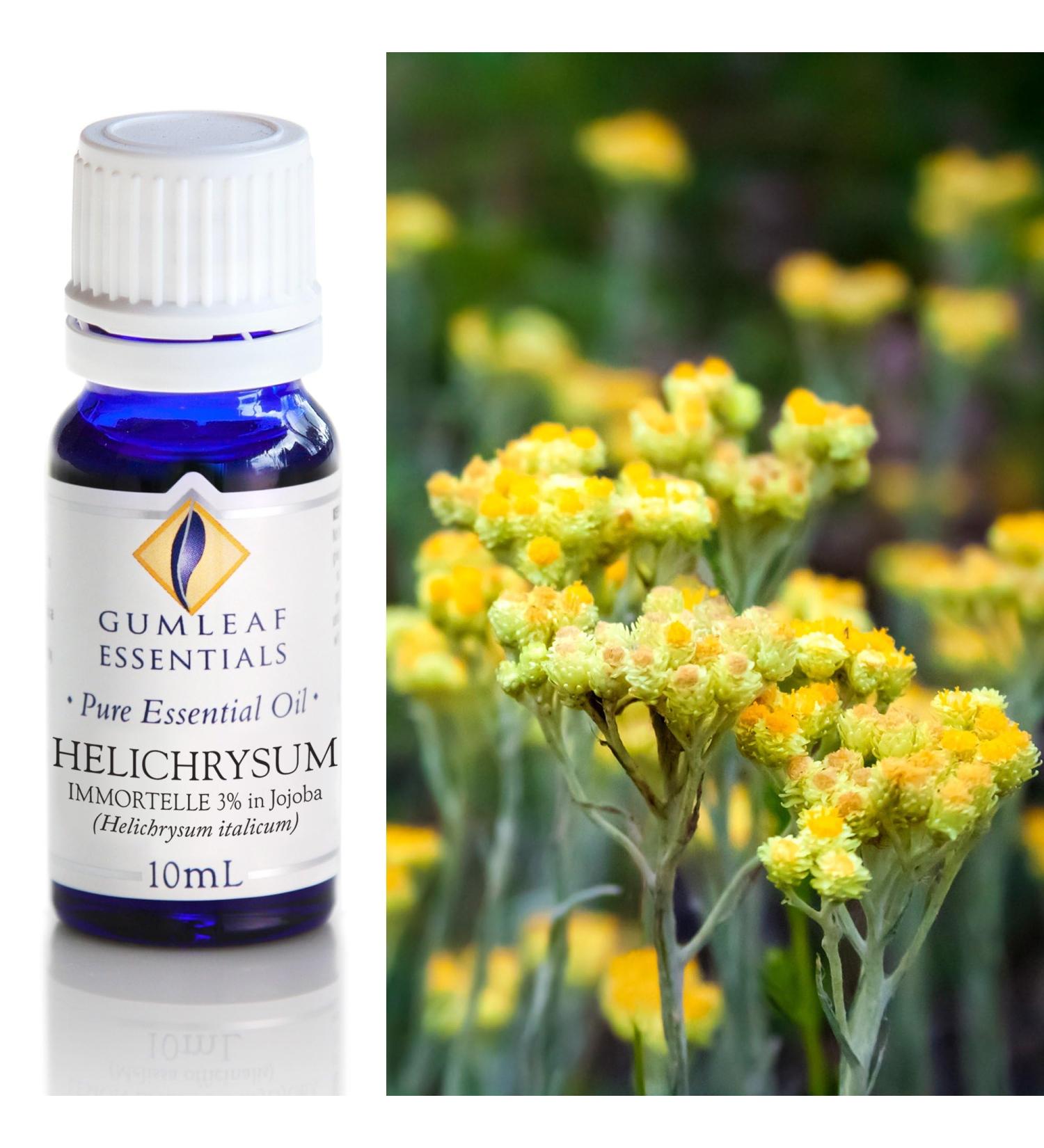 Gumleaf Essentials Helichrysum (3% in Jojoba) Essential Oil - 0.34fl oz Cruelty Free & Vegan 100% Pure & Natural - Buy Online on GoSupps.com