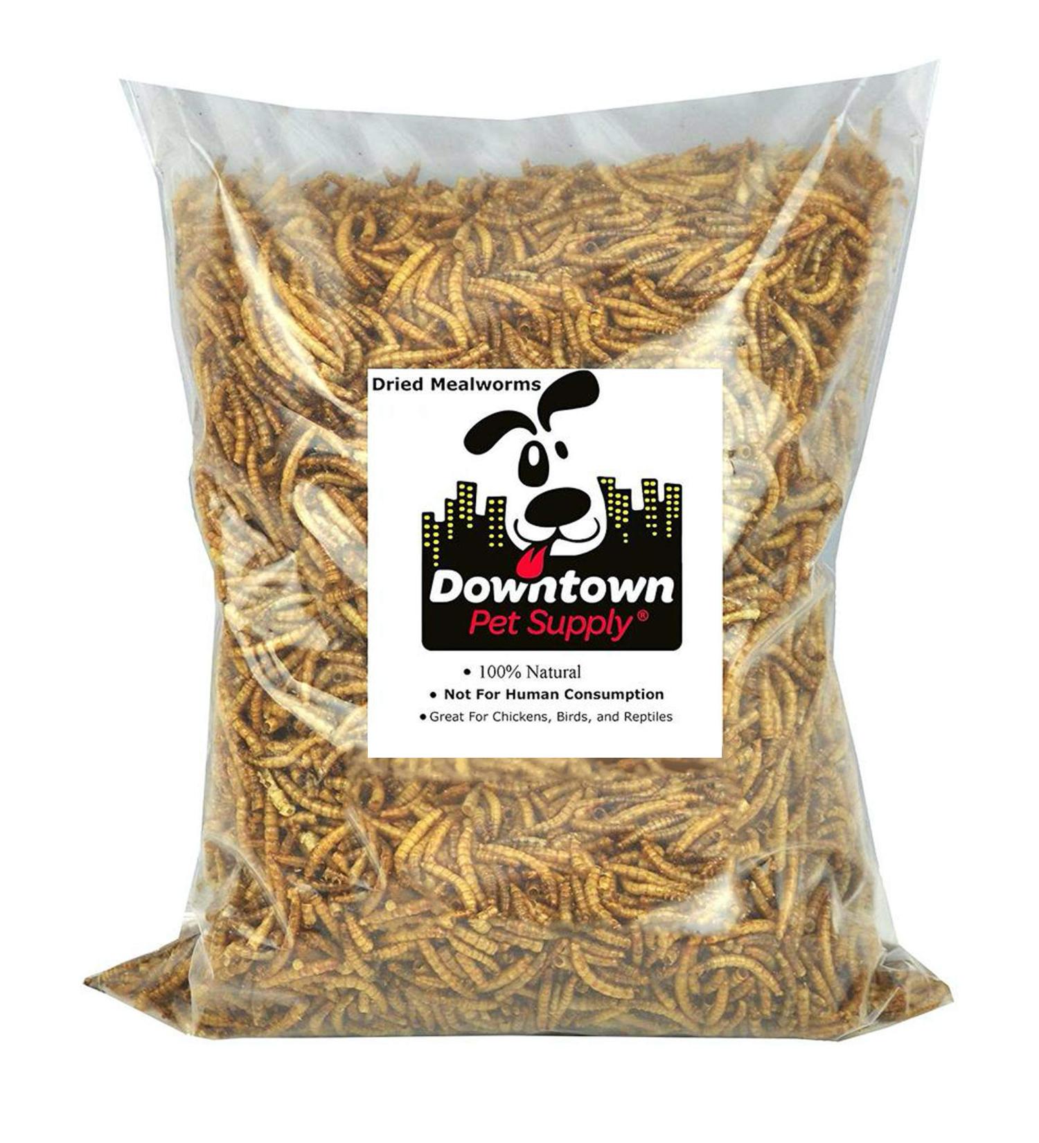 Downtown Pet Supply Dried Mealworms - 100% Natural Treats for Wild Birds, Chickens, Reptiles & Fish - Buy Online on GoSupps.com