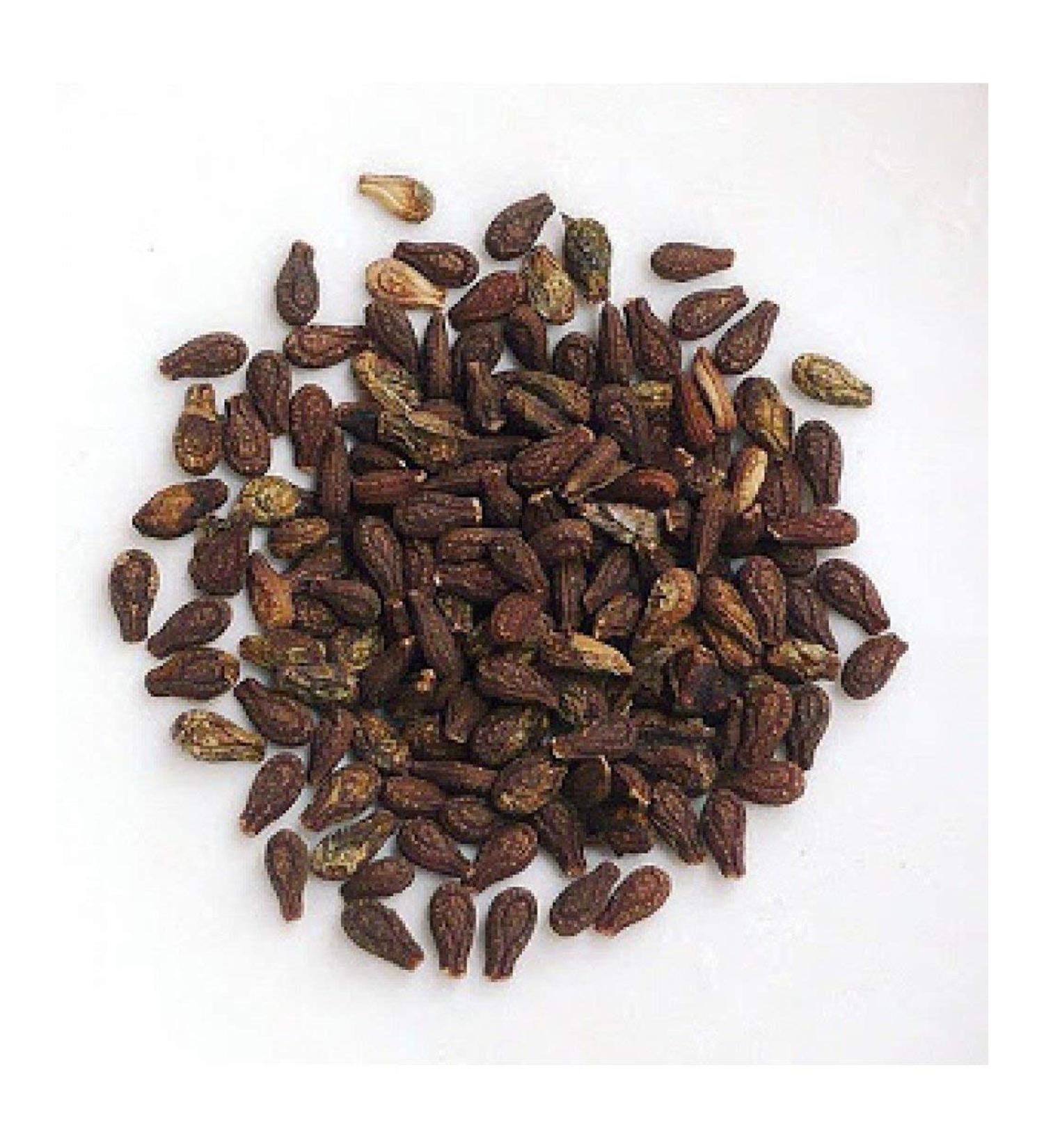 SHIVLINGI SEEDS SHIVLINGI BEEJ BRYONIA LACINIOSA (50gm) RAW HERB/JADI BOOTI - Buy Online on GoSupps.com