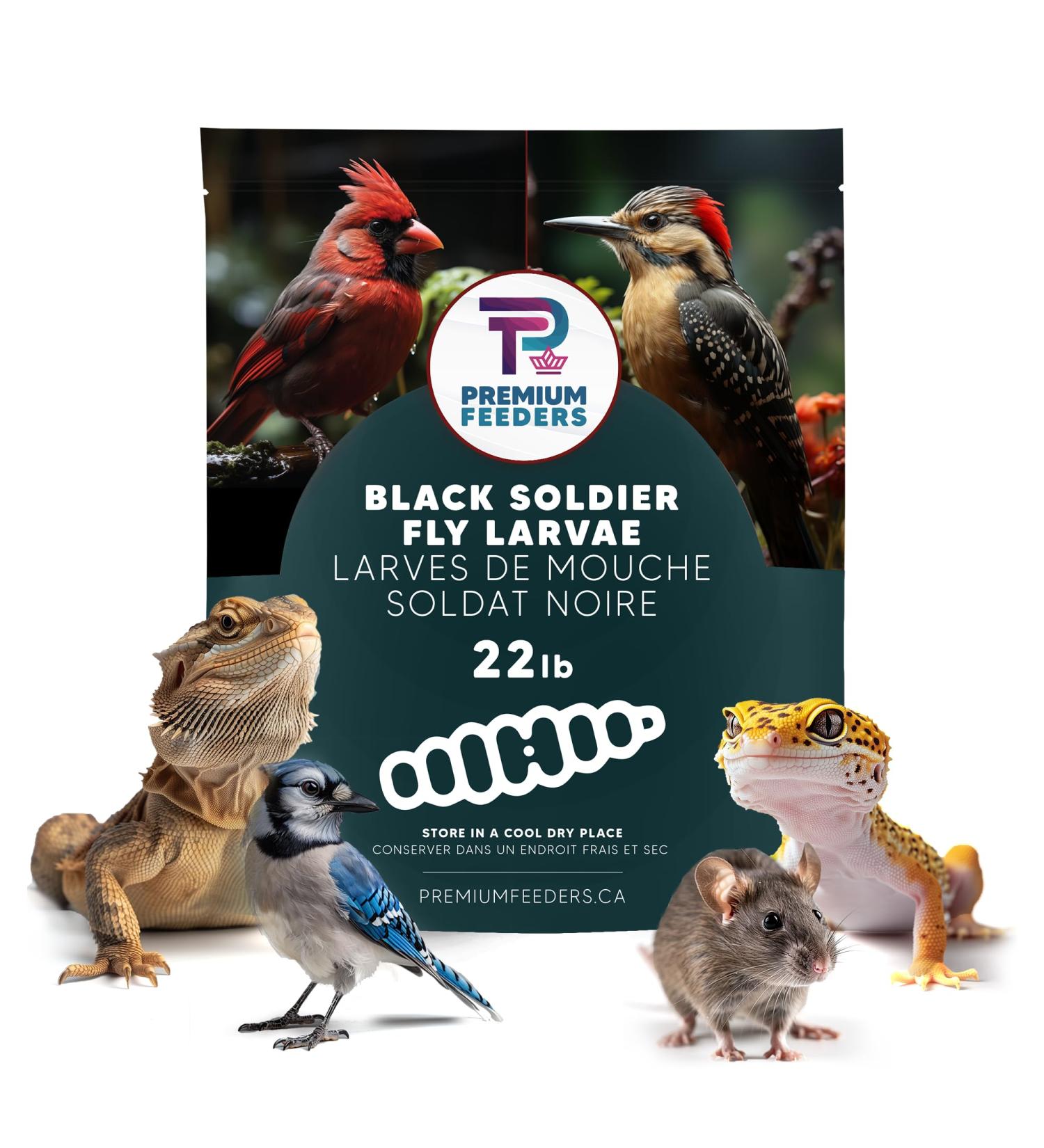22lb - Dried Black Soldier Fly Larvae by Premium Feeders Dried mealworms Alternative Treats for Chicken Hens Duck Bird Lizard Tortoise Fish High Calcium & Protein All Natural BSF - Buy Online on GoSupps.com
