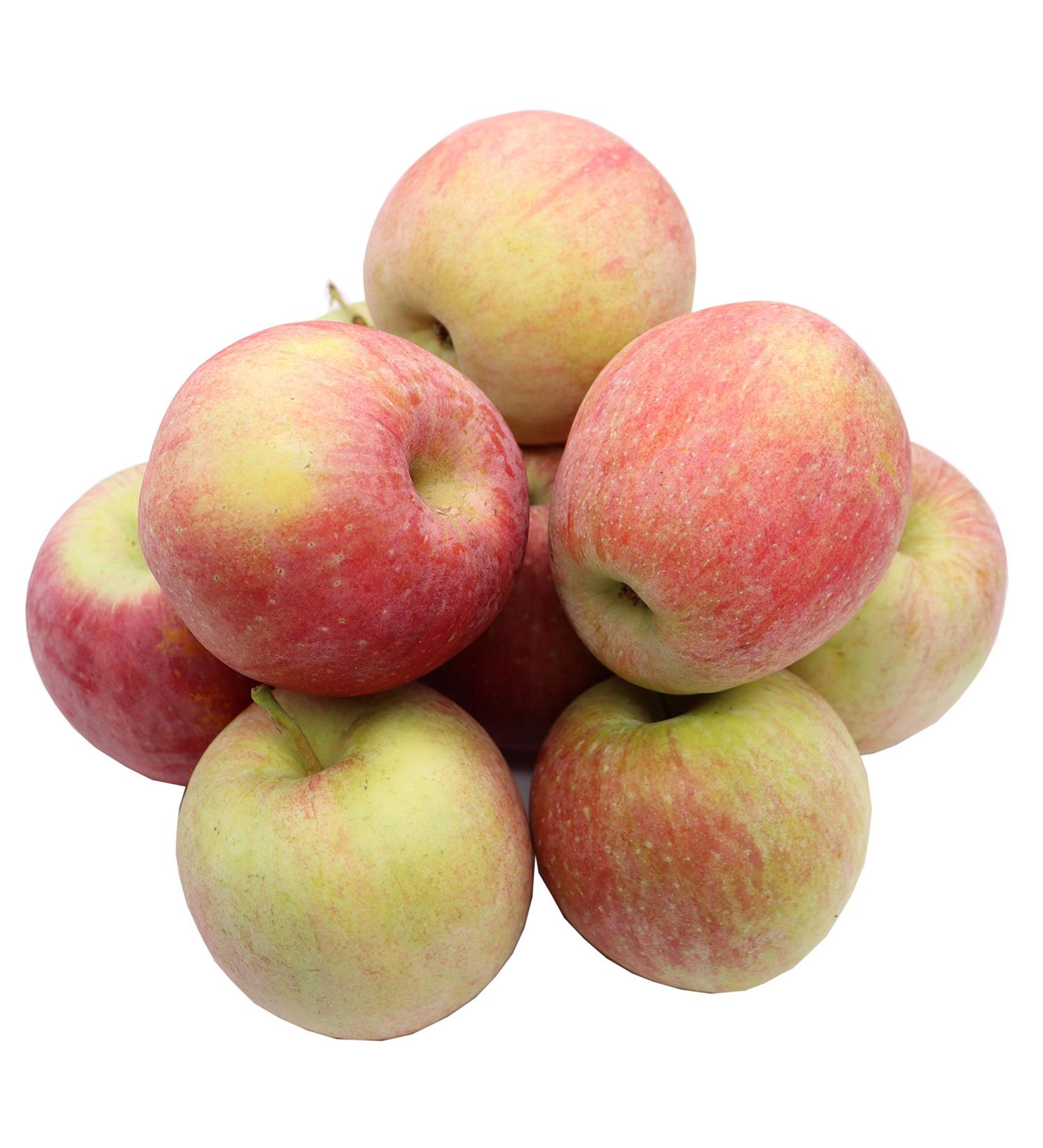  Bleichhof Bleichhof Fuji Apples - sweet and very juicy variety from the Palatinate (5kg) New harvest - Buy Online on GoSupps.com