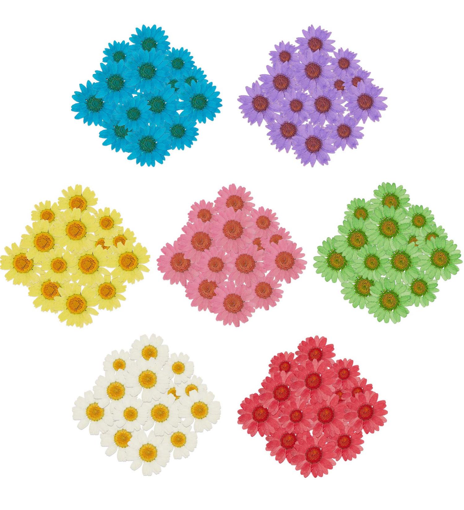 84 Pieces Real Dried Pressed Flowers - Natural Daisy Variety for DIY Crafts & Decorations - 7 Colors - Resin Casting, Jewelry, Candle, Soap Making Supplies - Buy Online on GoSupps.com