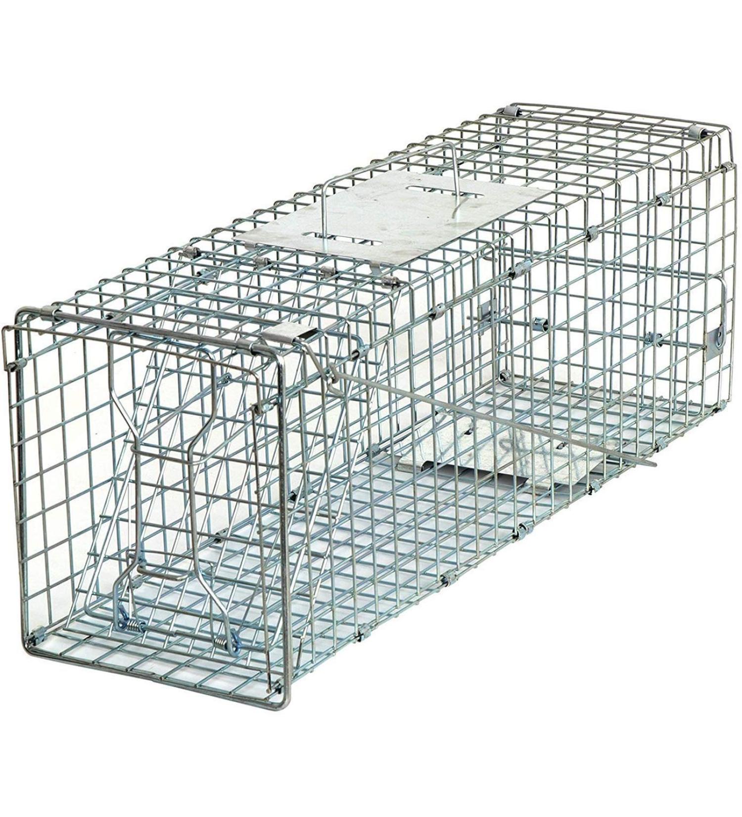 HomGarden 24-inch Live Animal Trap Cage for Rabbit, Groundhog, Squirrel, Raccoon, Mole, Gopher, Chicken - Humane Catch & Release Solution - Buy Online on GoSupps.com