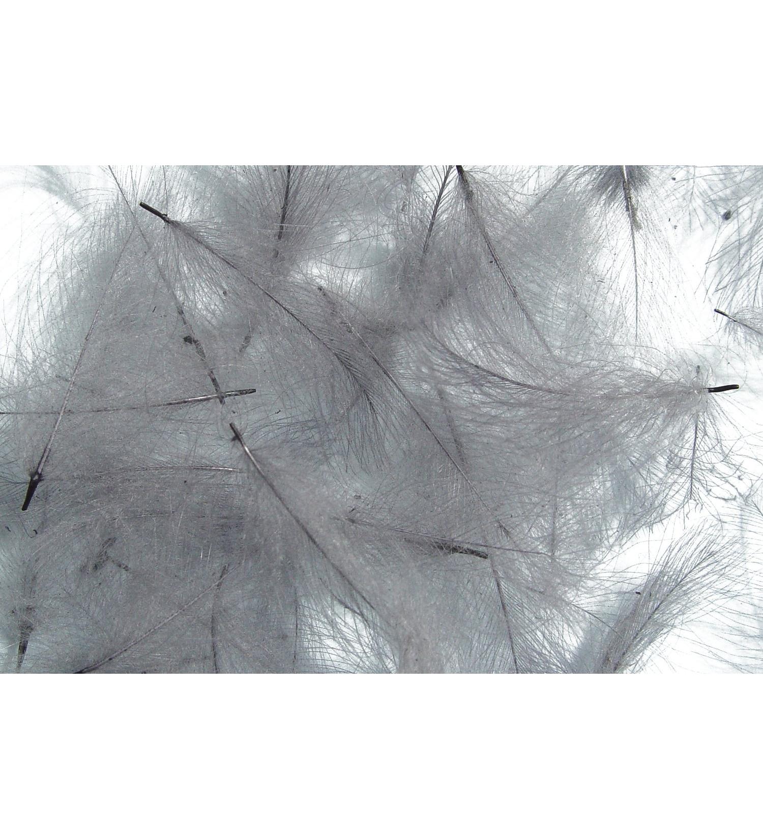 Pechetruite 1g - CDC (Cul de Canard) Feathers - BWO (Blue Wing Olive) - For Fly Tying