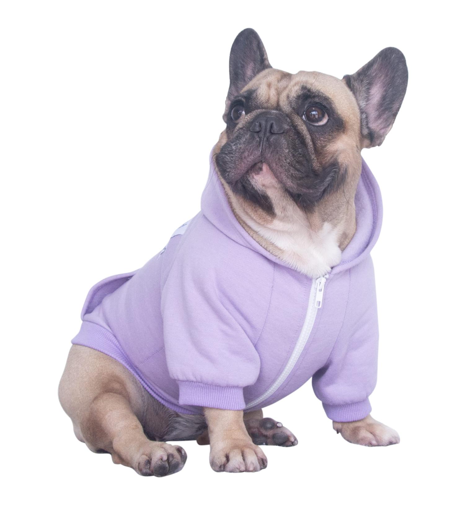 iChoue French Bulldog Frenchie Clothes Hoodies For Dogs Pug English Boston Terrier Bully Pitbull Corgi Sweatshirt Sweater Clothing - Light Purple/Medium Medium (Pack of 1) Light Purple - Buy Online on GoSupps.com