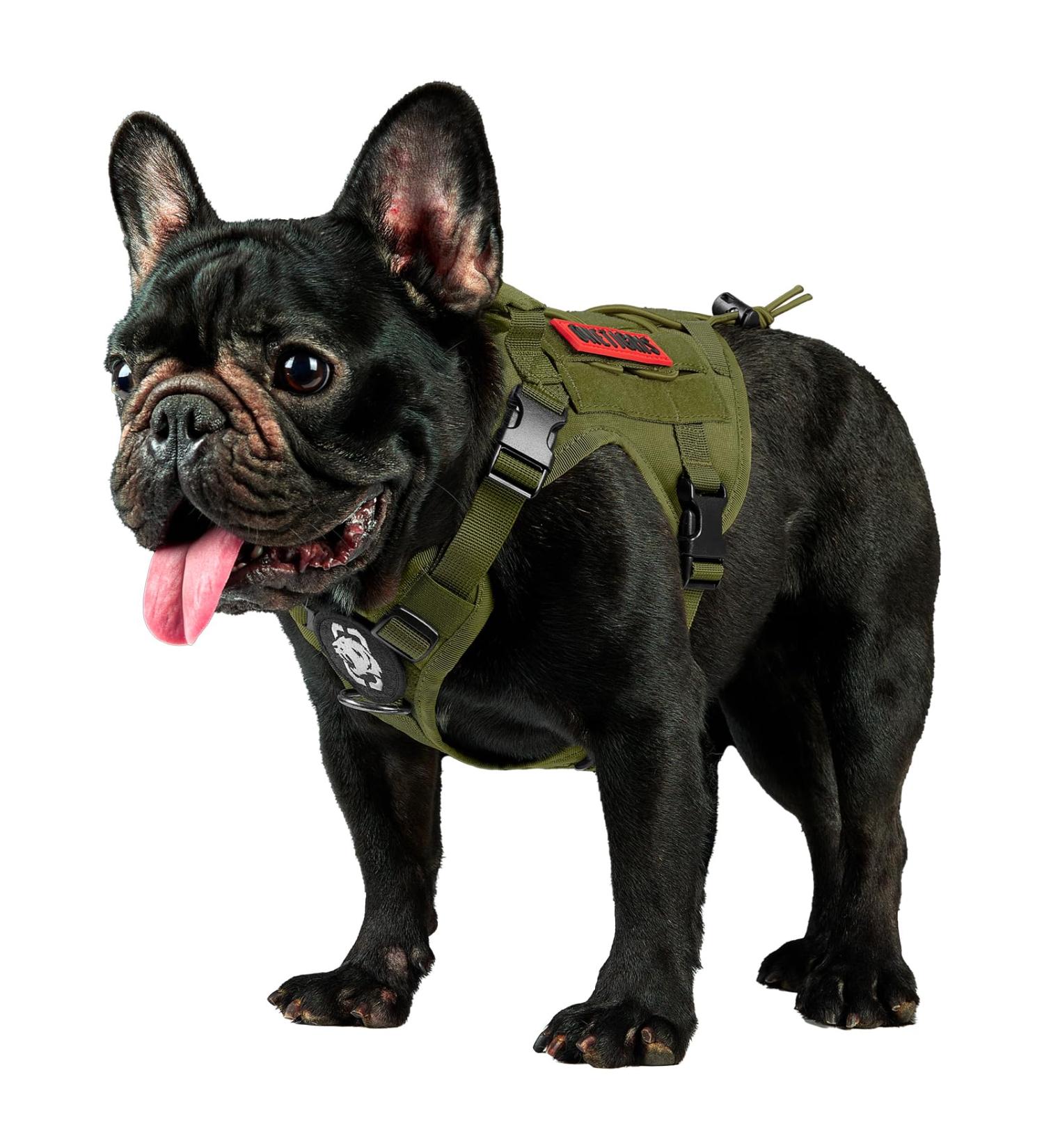 Oneigris Dog Harness | Fire Watcher Tactical Safety Vest for Service Dogs - No-Pull D-Ring 1000D Nylon (XXS Green) - International Shipping Available - Buy Online on GoSupps.com
