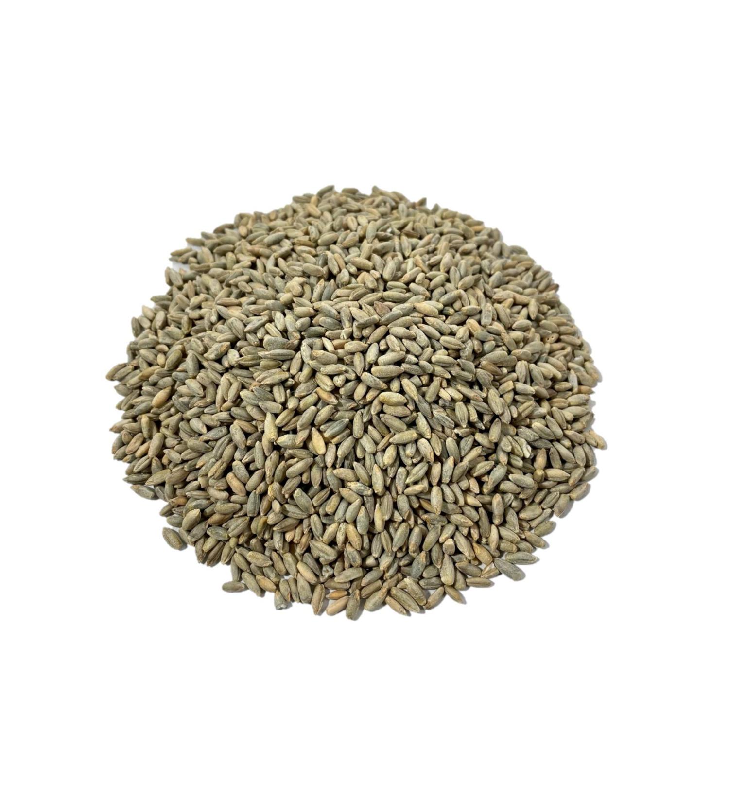 Organic Rye Berries 5 lbs - Certified Non-GMO | AA Plus Shop - Buy Online on GoSupps.com