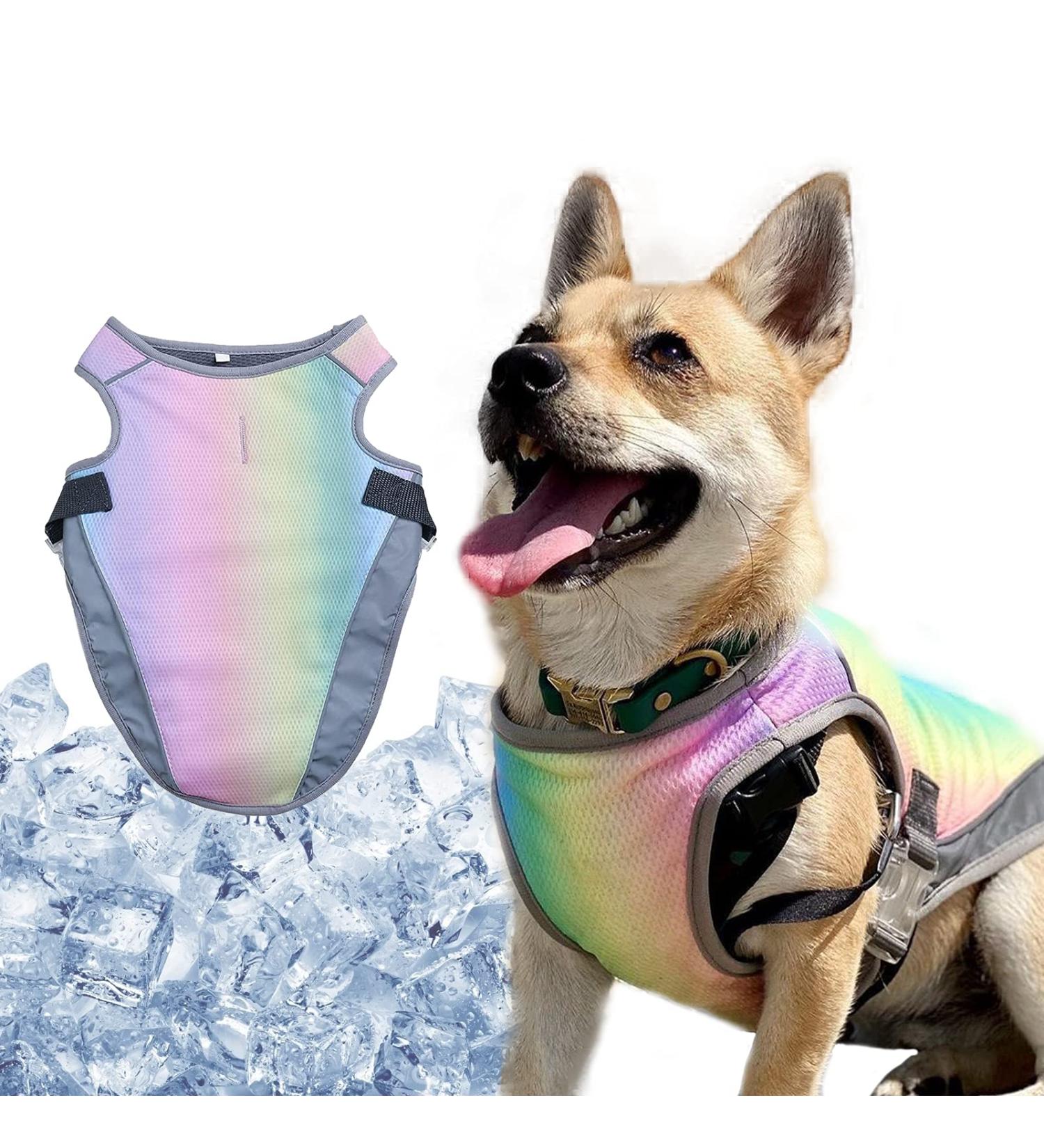 MOPP Dog Cooling Vest - Rainbow Large | Breathable 3-Layer Evaporative Cooler for Small Medium Dogs | Ideal for Training and Walking - Buy Online on GoSupps.com
