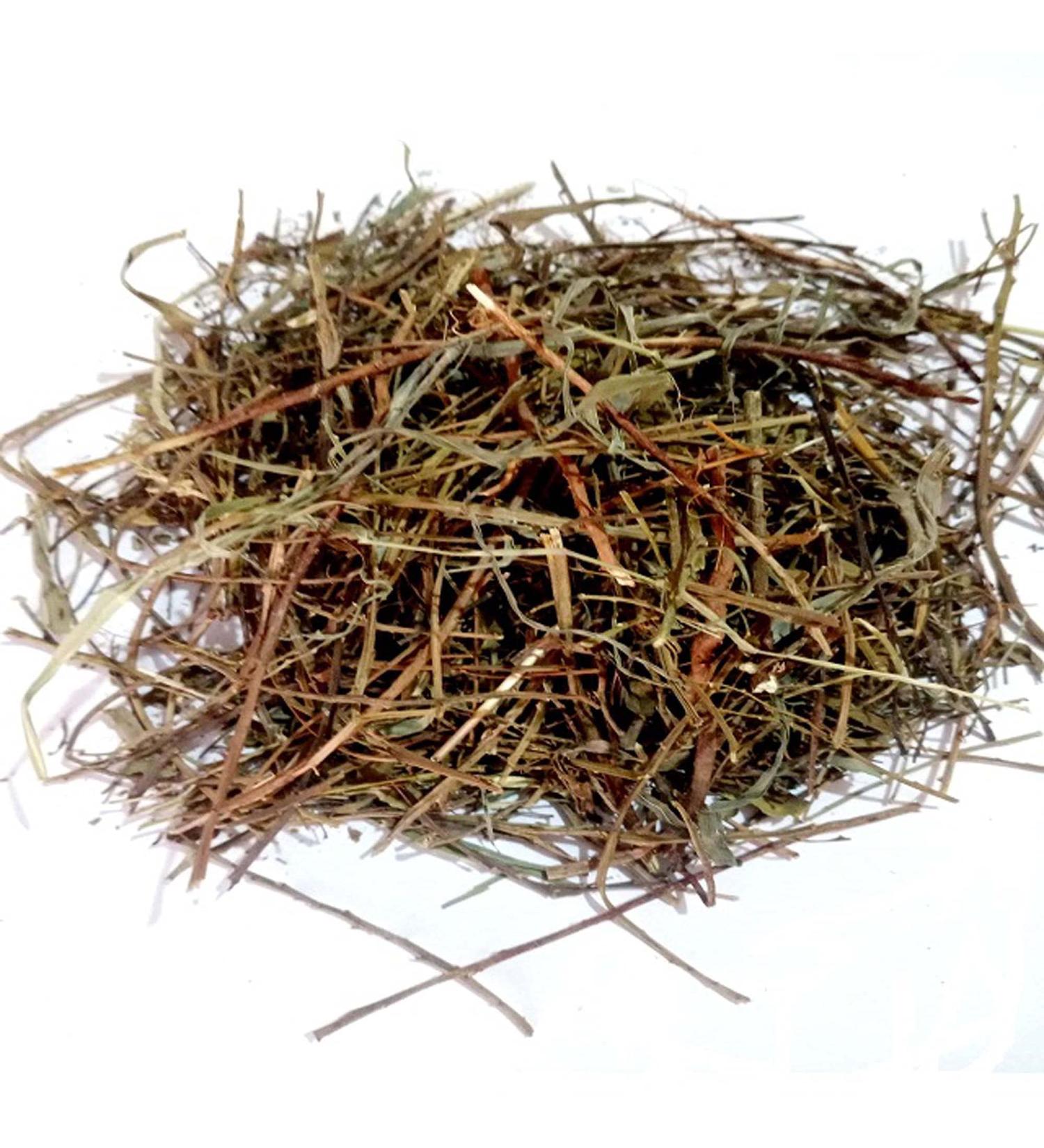 Raw Herbs/Jadi Booti Bhumi Amla Panchang Bhumi Aamla Bhoomi Awla Phyllanthus Nirpuri (100gm) 100 g (Pack of 1) - Buy Online on GoSupps.com