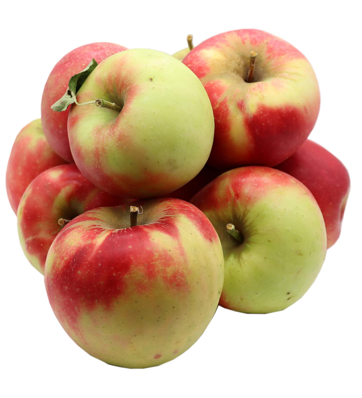 Bleichhof Apples Elstar juicy finely acidic variety from the palz 5 kg new harvest - Buy Online on GoSupps.com