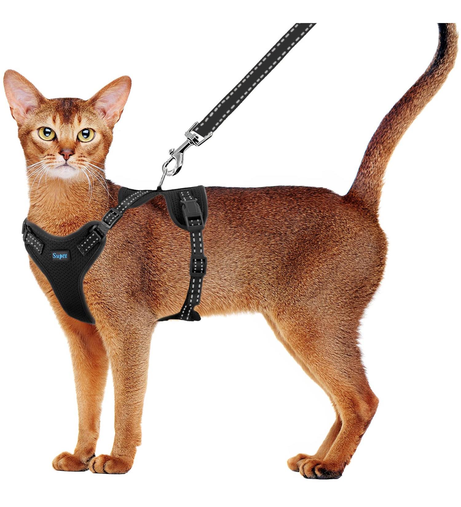 Supet Adjustable Cat Harness and Leash Set with Reflective Trim - Small to Large Cats - Black - Buy Online on GoSupps.com