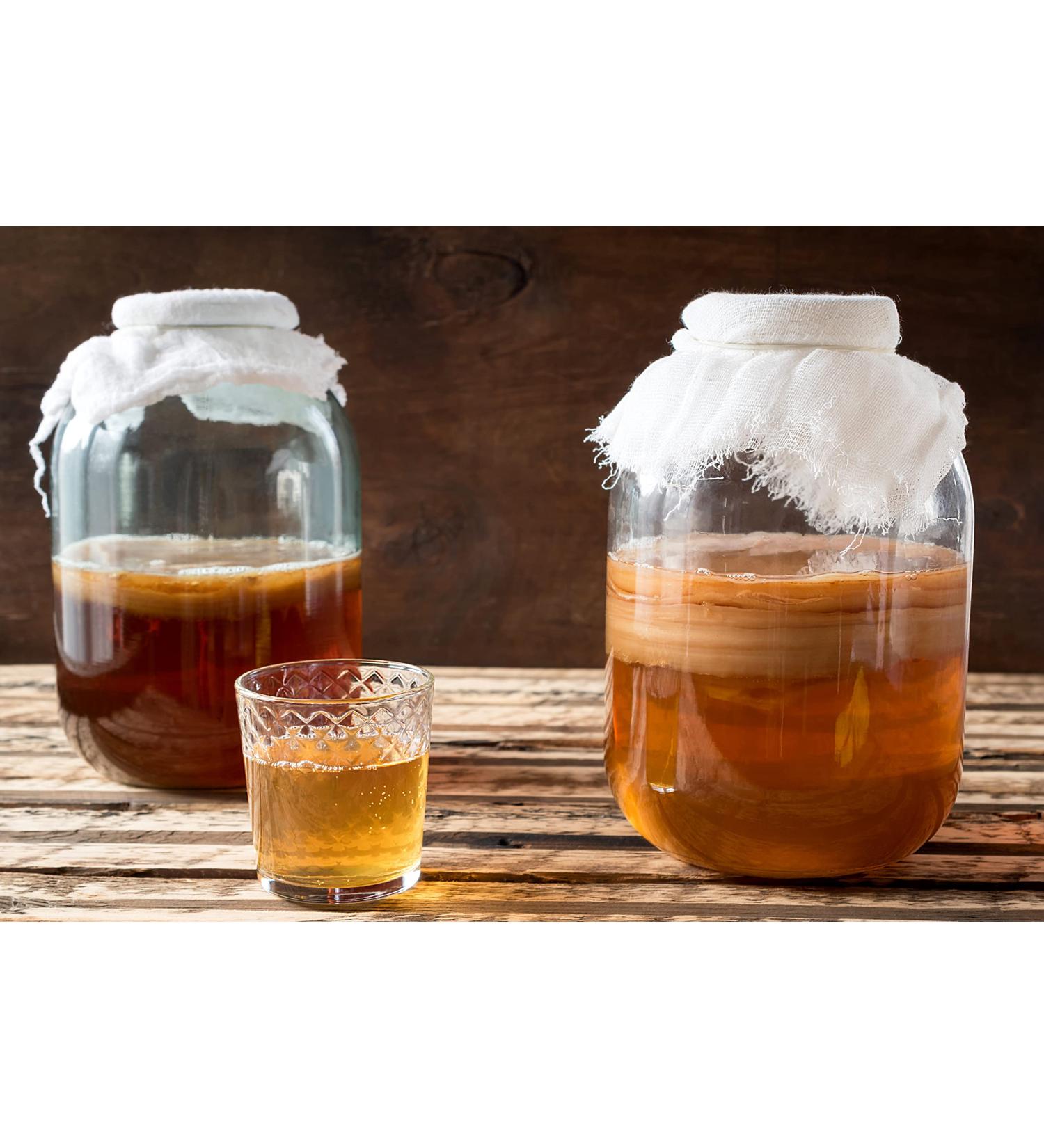 Grand Kombucha Scoby from Kombuchaorganic  - Buy Online on GoSupps.com