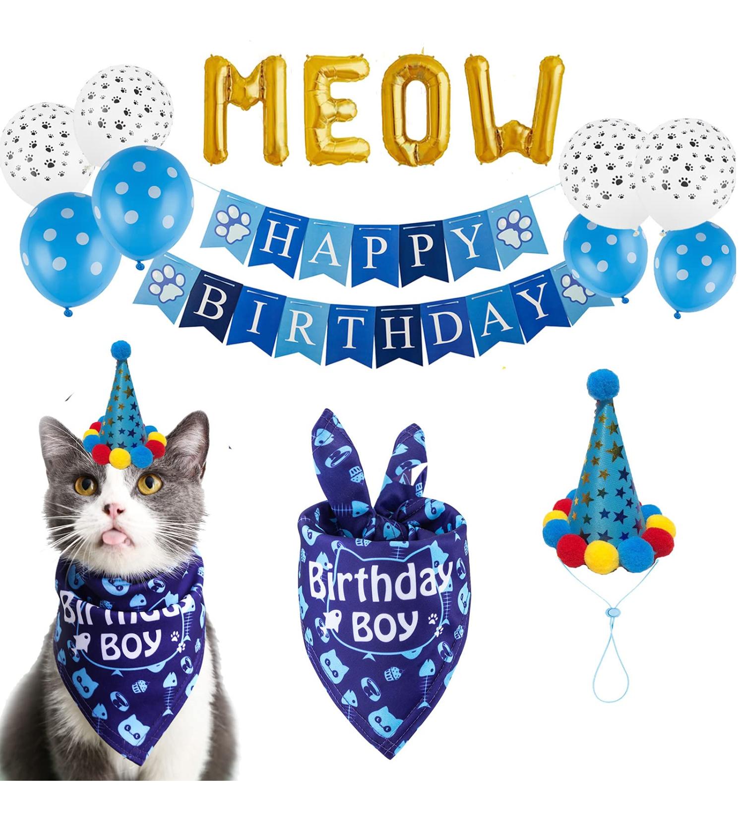 Cat Birthday Bandana & Hat Set | Cute Doggie Party Decorations | Blue - Buy Online on GoSupps.com