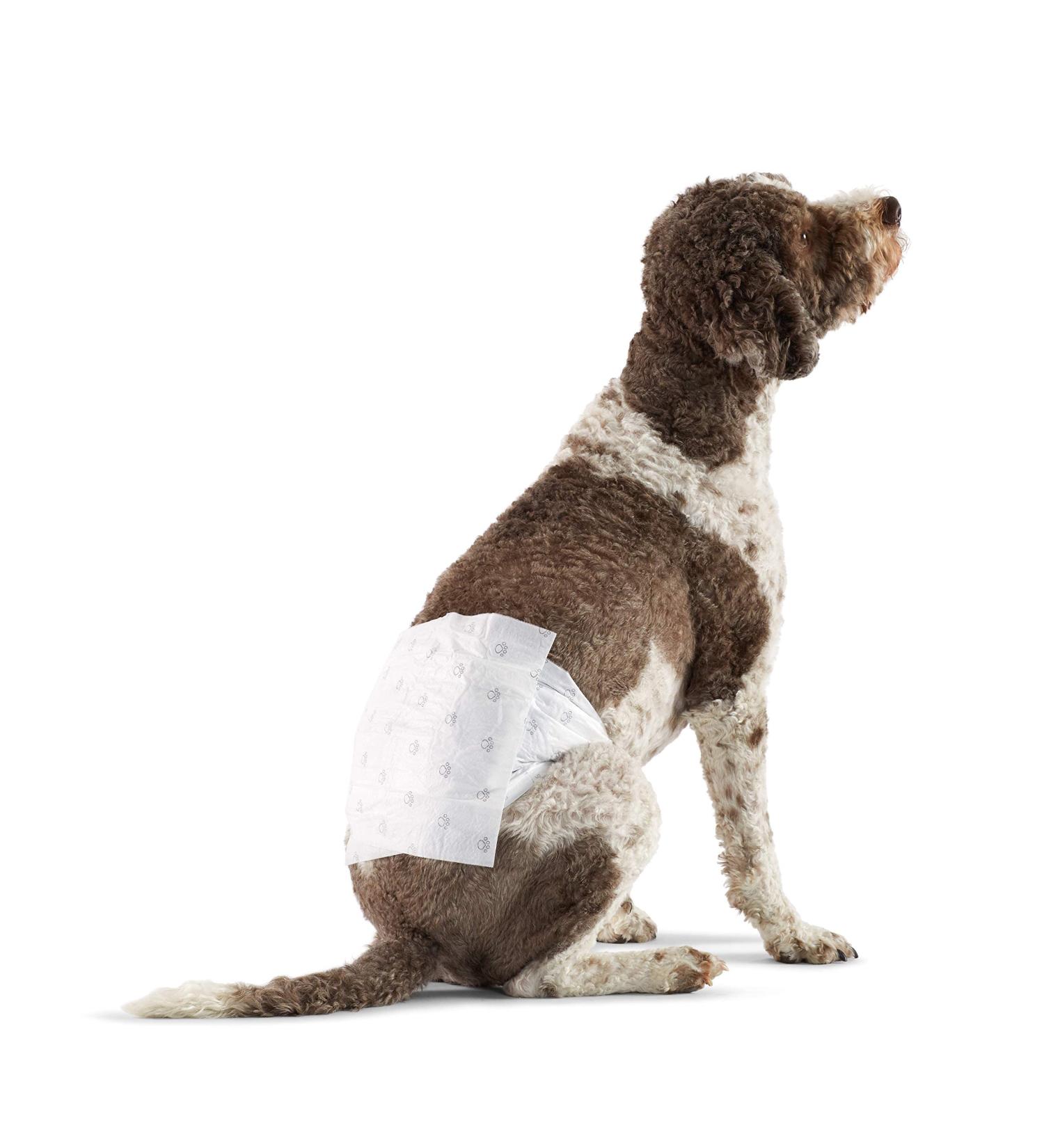 Amazon Basics Disposable Dog Diapers for Male Dogs - Large White 50-Pack - Best International Shipping Available - Buy Online on GoSupps.com