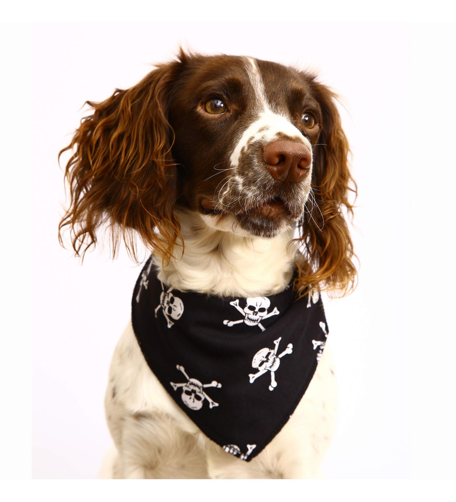 Spoilt Rotten Pets S3 Medium Black Jolly Roger Pirate Skull Design Dog Bandana Suitable For Labradors Staffies & Springer Spaniels Sized Dogs - Buy Online on GoSupps.com