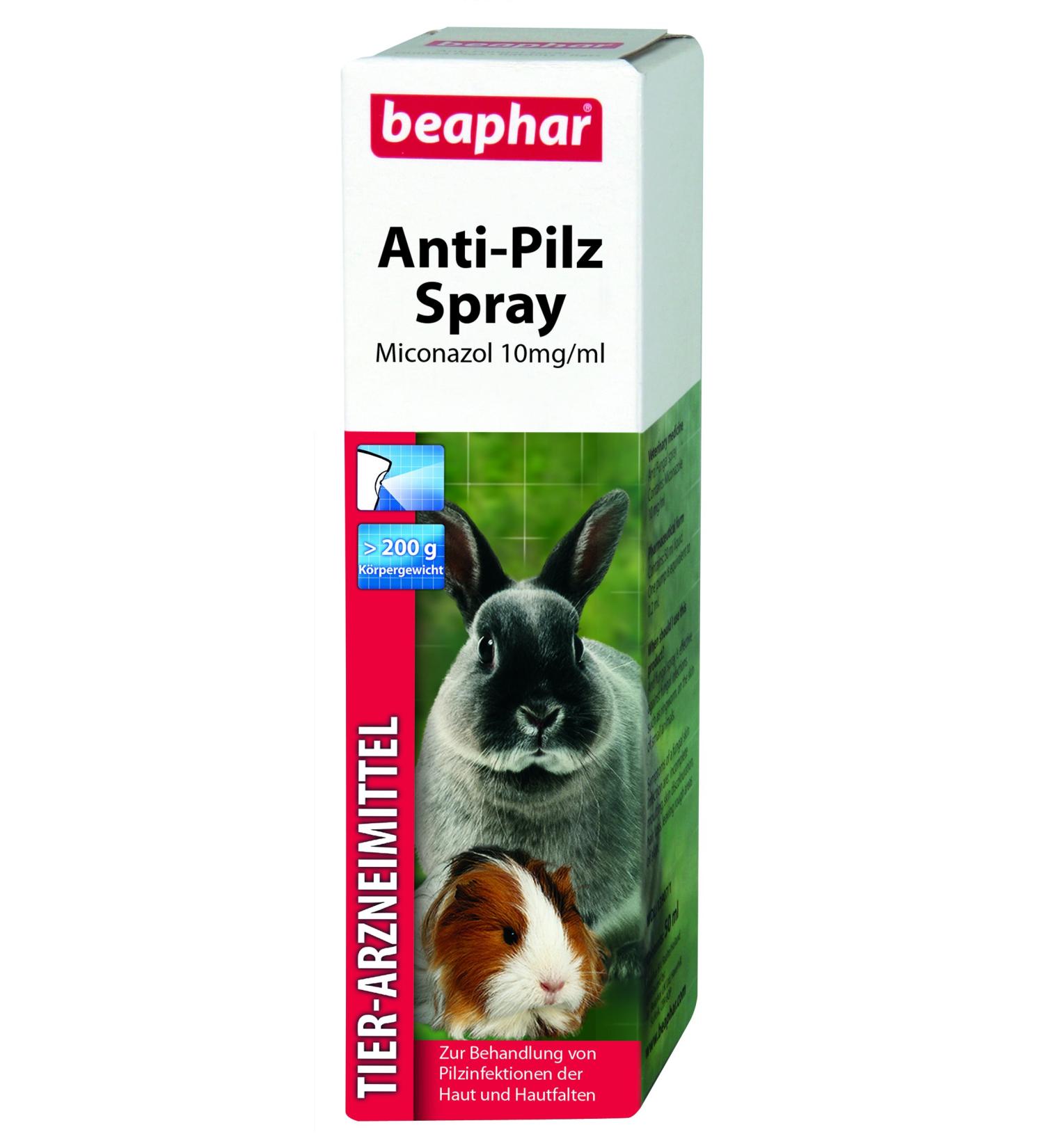 Beaphar - Anti -fungus spray for small rods - veterinary medicinal products - for the treatment of fungal infections of the skin and skin folds - 50 ml anti -fungal spray