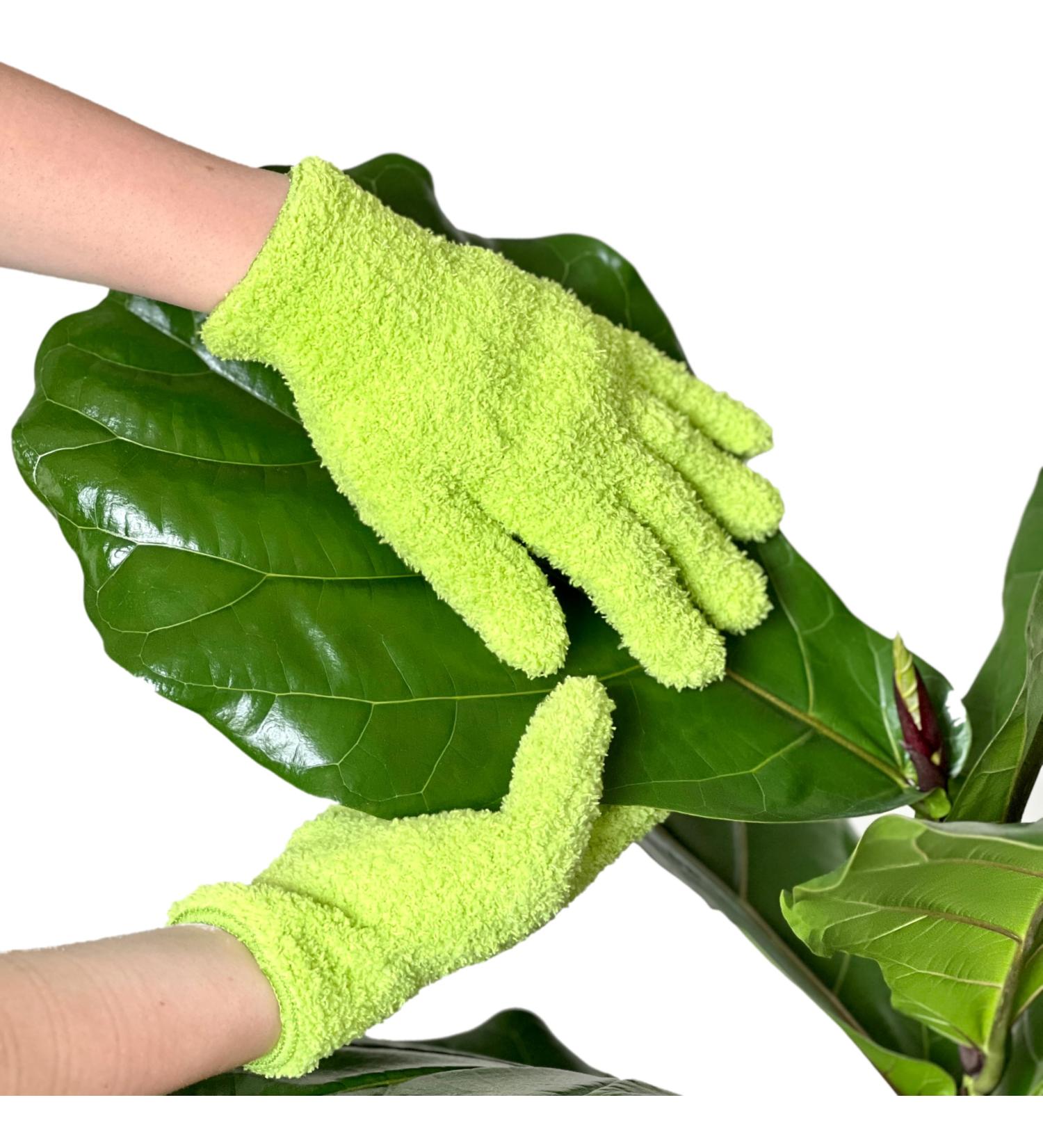 Microfiber Dusting Gloves for Plants | Premium Washable Lint-Free | Perfect for Houseplants with Big Leaf Energy Spray - Buy Online on GoSupps.com