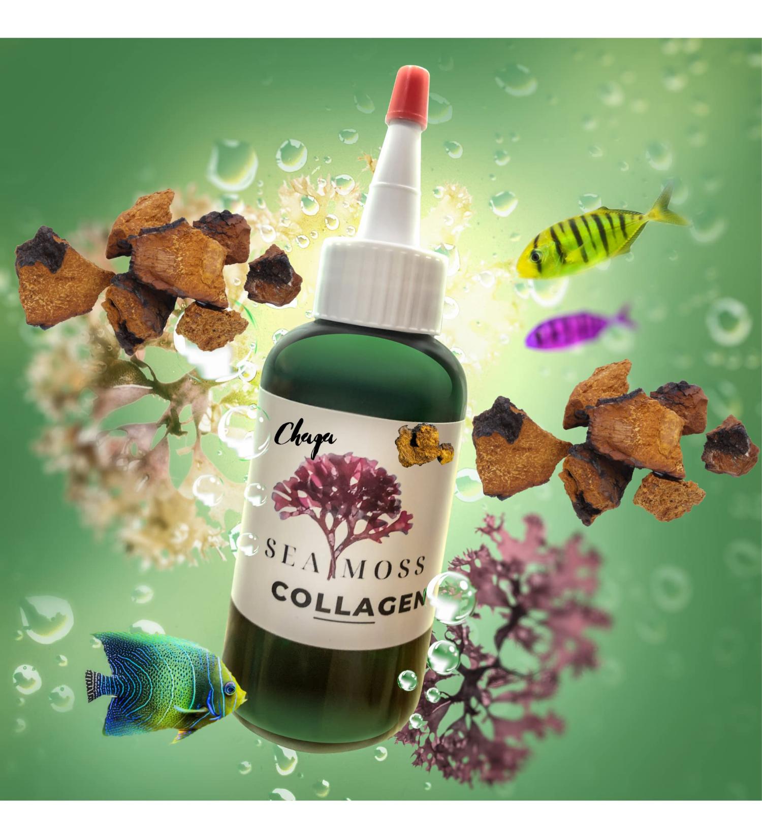 Sea Moss Collagen Hair & Skin Oil with Chaga Melanin Mushroom - Nourish & Revitalize for All Skin Types | International Shipping Available - Buy Online on GoSupps.com