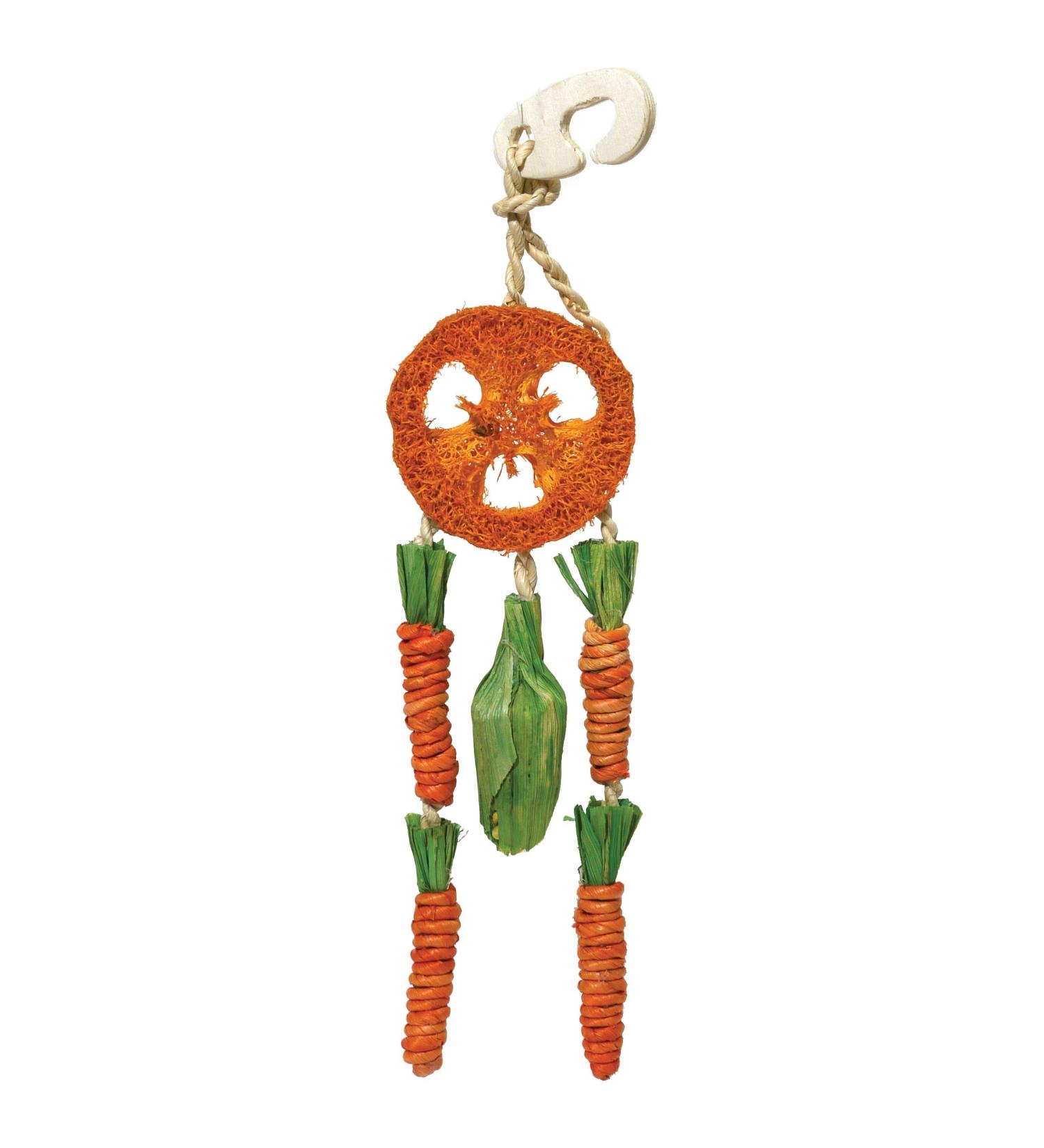 Rosewood Carrot Dream Catcher for Small Animals - Boredom Breaker, Chew Toy - Buy Online on GoSupps.com