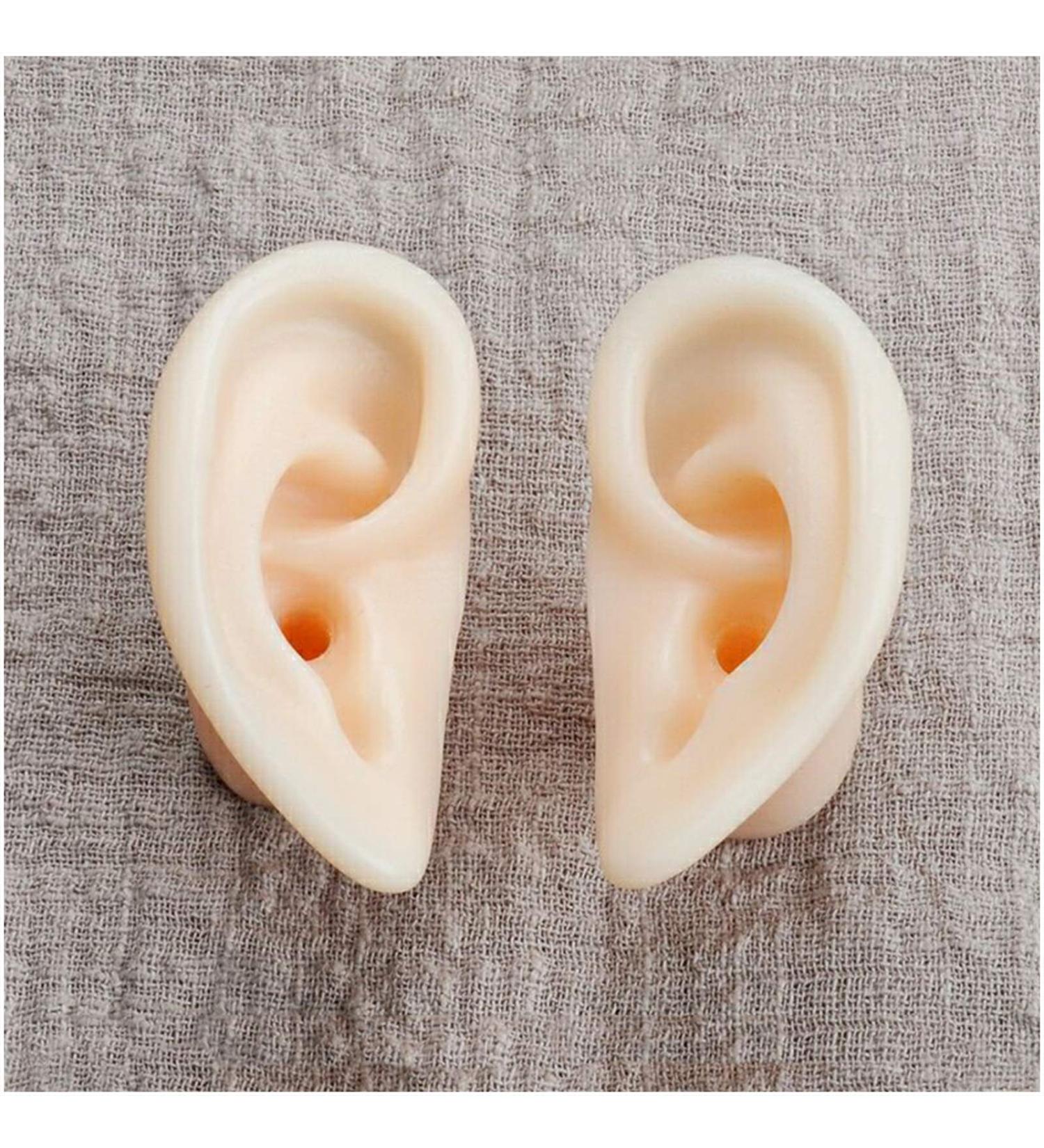Soft Silicone Ear Model - Artificial Simulation Human Ear - Ear Acupuncture Point Model - for Acupuncture Studs Earring Earphone Bluetooth Headset Display Props - Buy Online on GoSupps.com