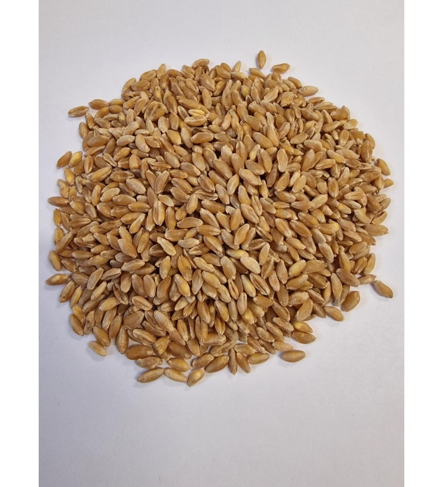 WIDU Organic durum wheat 12.5 kg