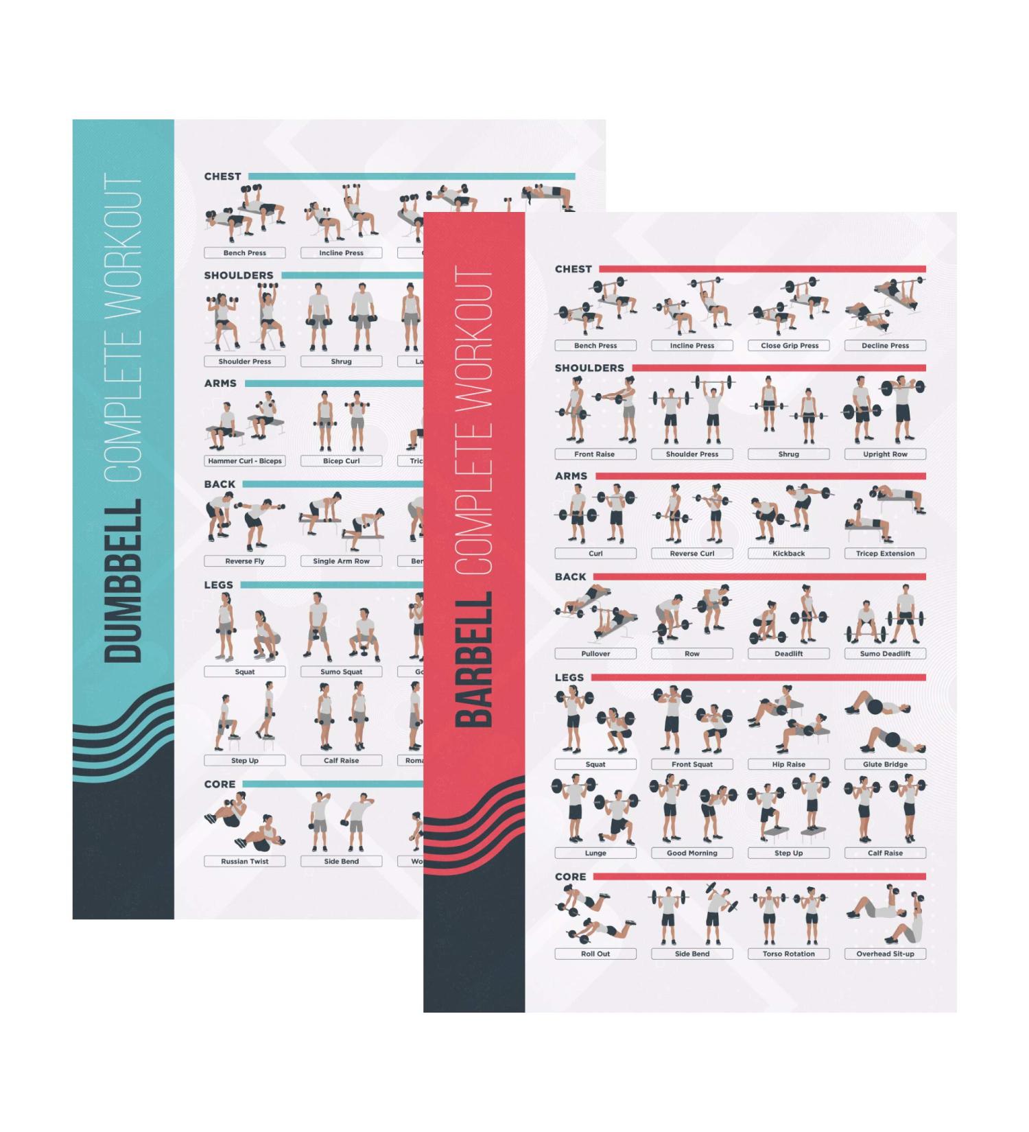 Buy PosterMate FitMate Exercise Poster - Workout Routine with Weights | Home Gym Decoration Guide 41.5 x 63.5 cm | International Shipping Available - Buy Online on GoSupps.com