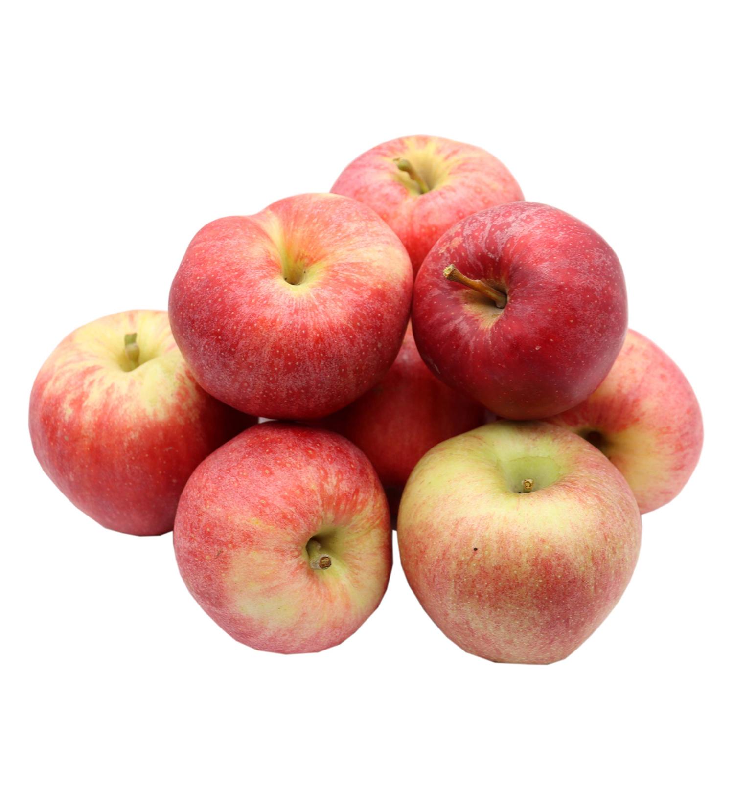 Bleichhof Apple Royal Gala solid sweet variety from the palate 5 kg new harvest - Buy Online on GoSupps.com