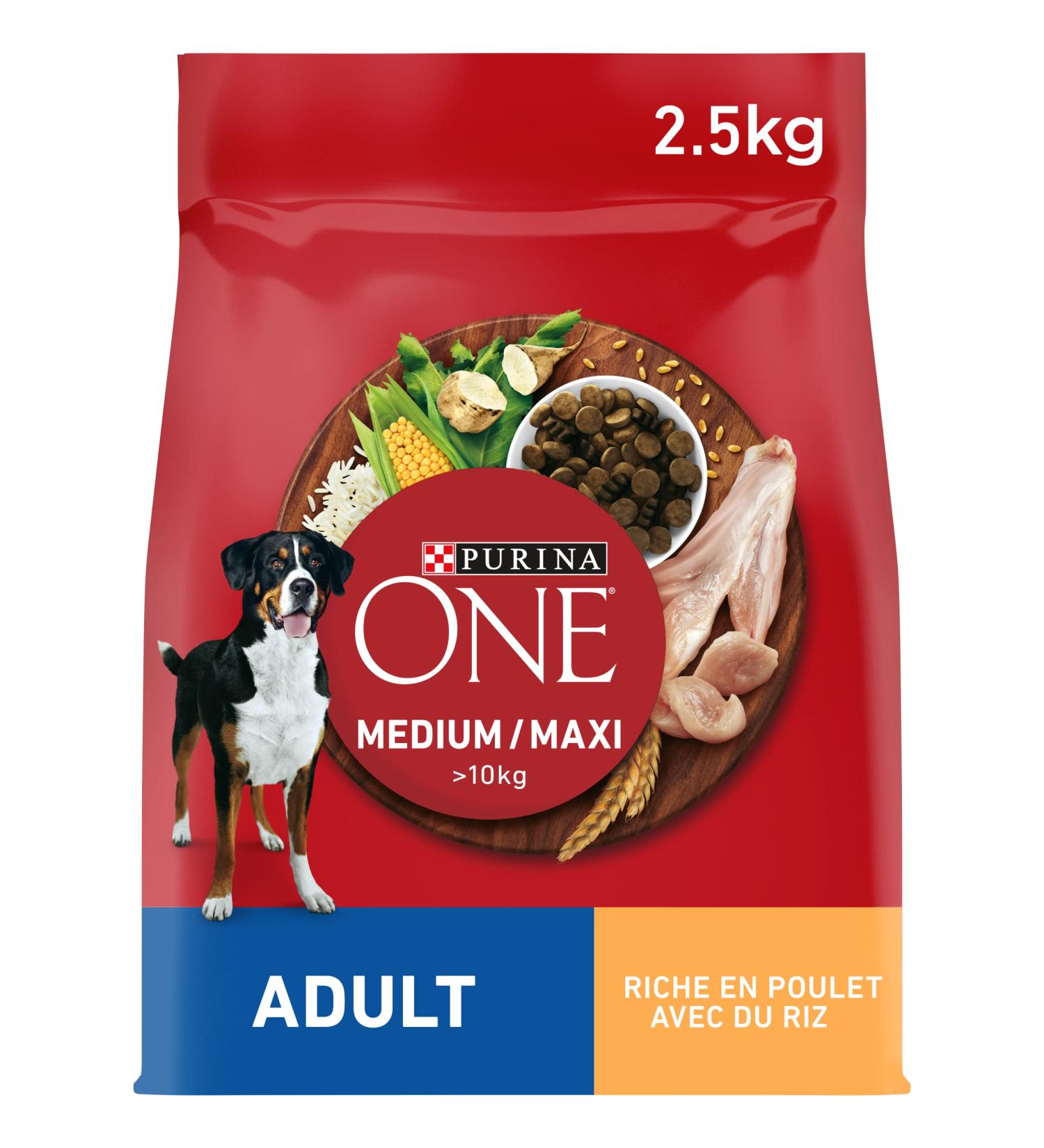 ONE Chicken/Rice Croquettes for Medium/Maxi Adult Dogs 10kg - 2.5kg Bag - Buy Online on GoSupps.com