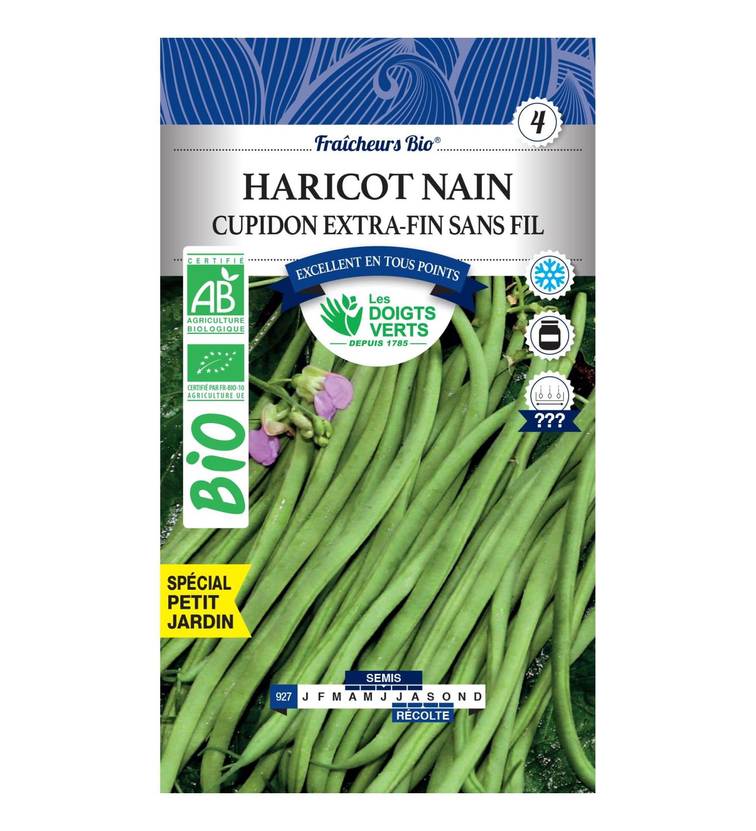 Green Fingers Organic Cupid Dwarf Beans 30g