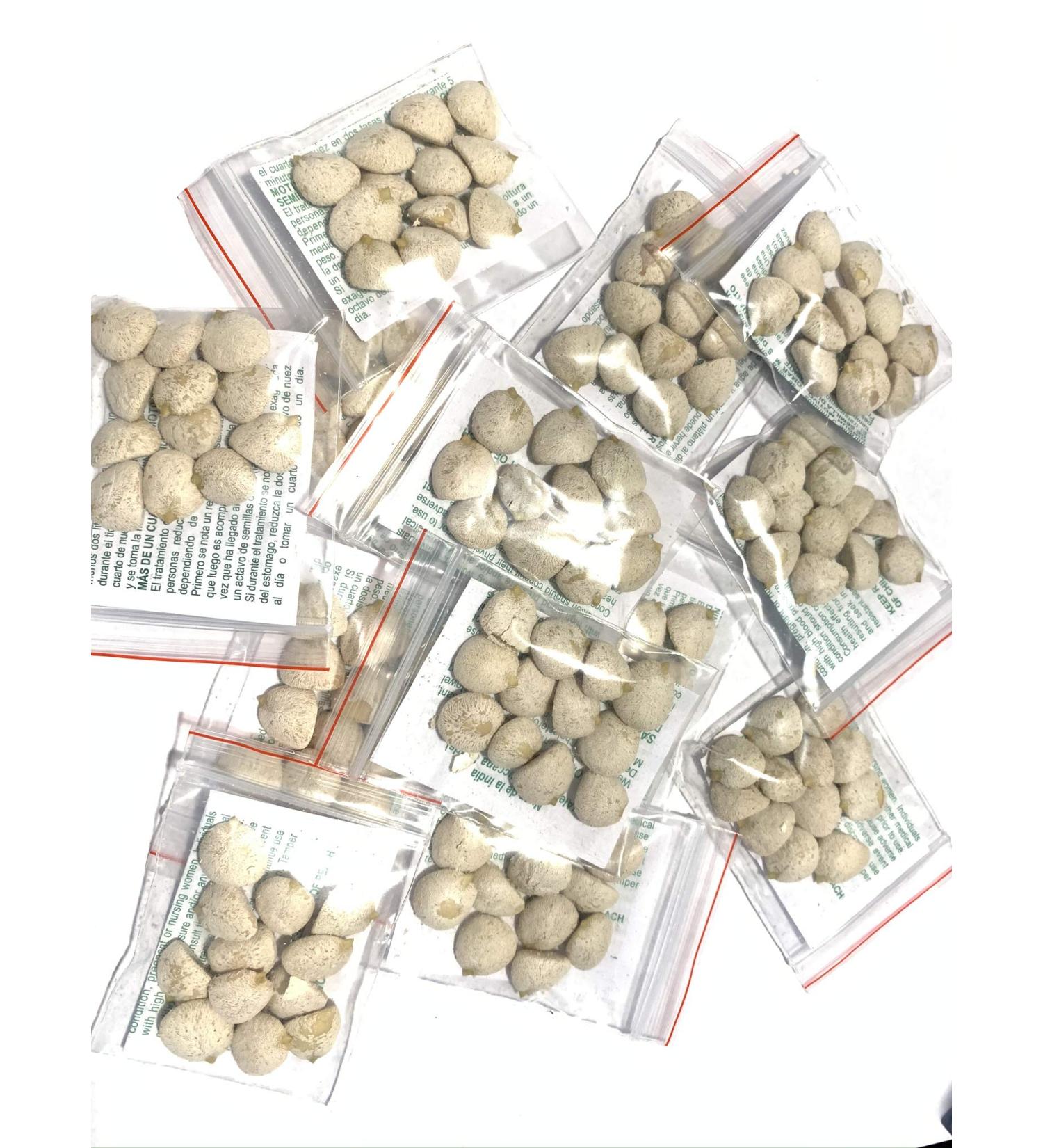 6 Pack Indian Nut 72 Seeds for Weight Loss - Original Indian Seed for Effective Weight Management - Buy Online on GoSupps.com