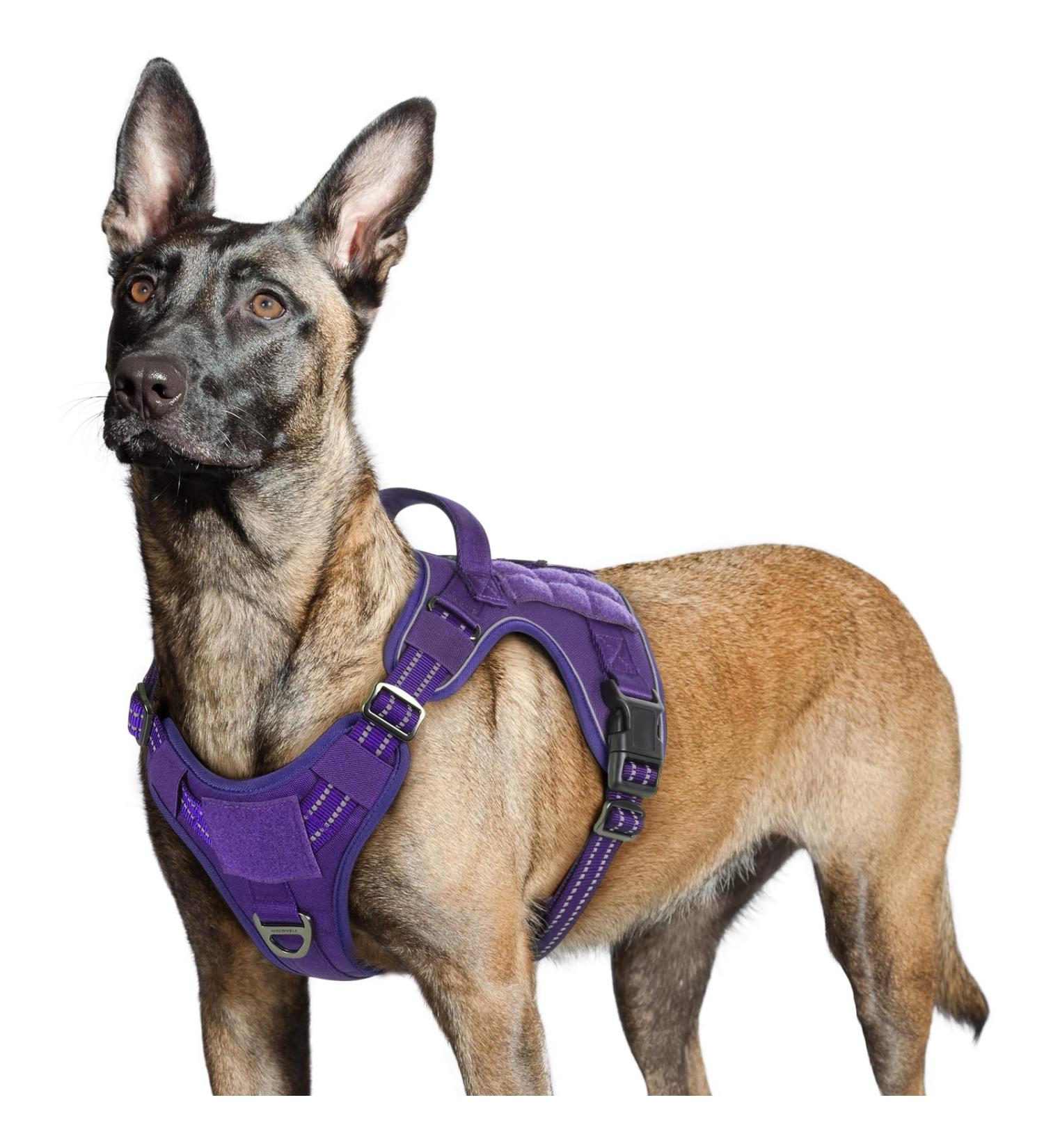 Rabbitgoo Tactical Dog Harness for Large Dogs - Adjustable Durable with Handles & Metal Buckles - Perfect for Hiking (L Purple) - Buy Online on GoSupps.com