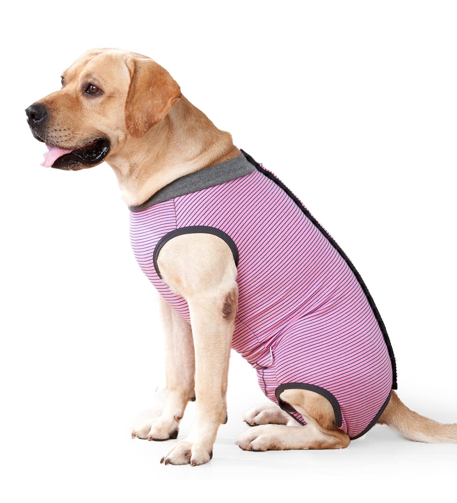 HEYWEAN Dog Recovery Suit Spay Suit for Female Dog Bodysuit After Surgery Dog Onesie for Surgery Male Dog Surgical Vest Substitute Recovery Collars XL (Pack of 1) Pink Striped - Buy Online on GoSupps.com
