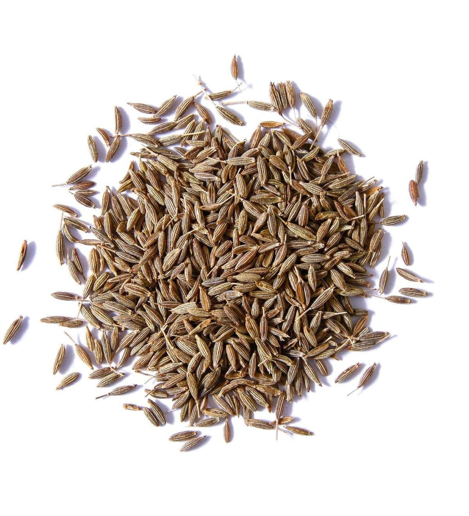 Shopper's Freedom 250g - Organic Whole Caraway Seeds for Cooking Salads Seasonings Herbs