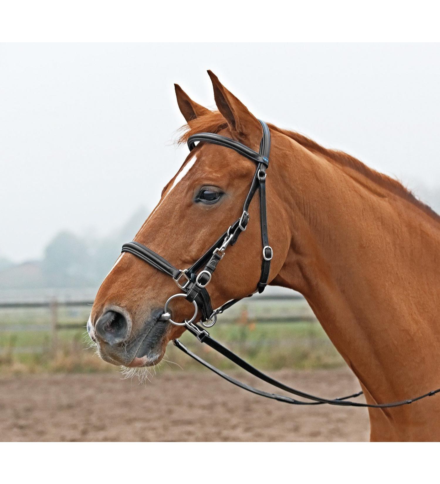 Solibel trekking bridle black fitting: stainless steel warmblood