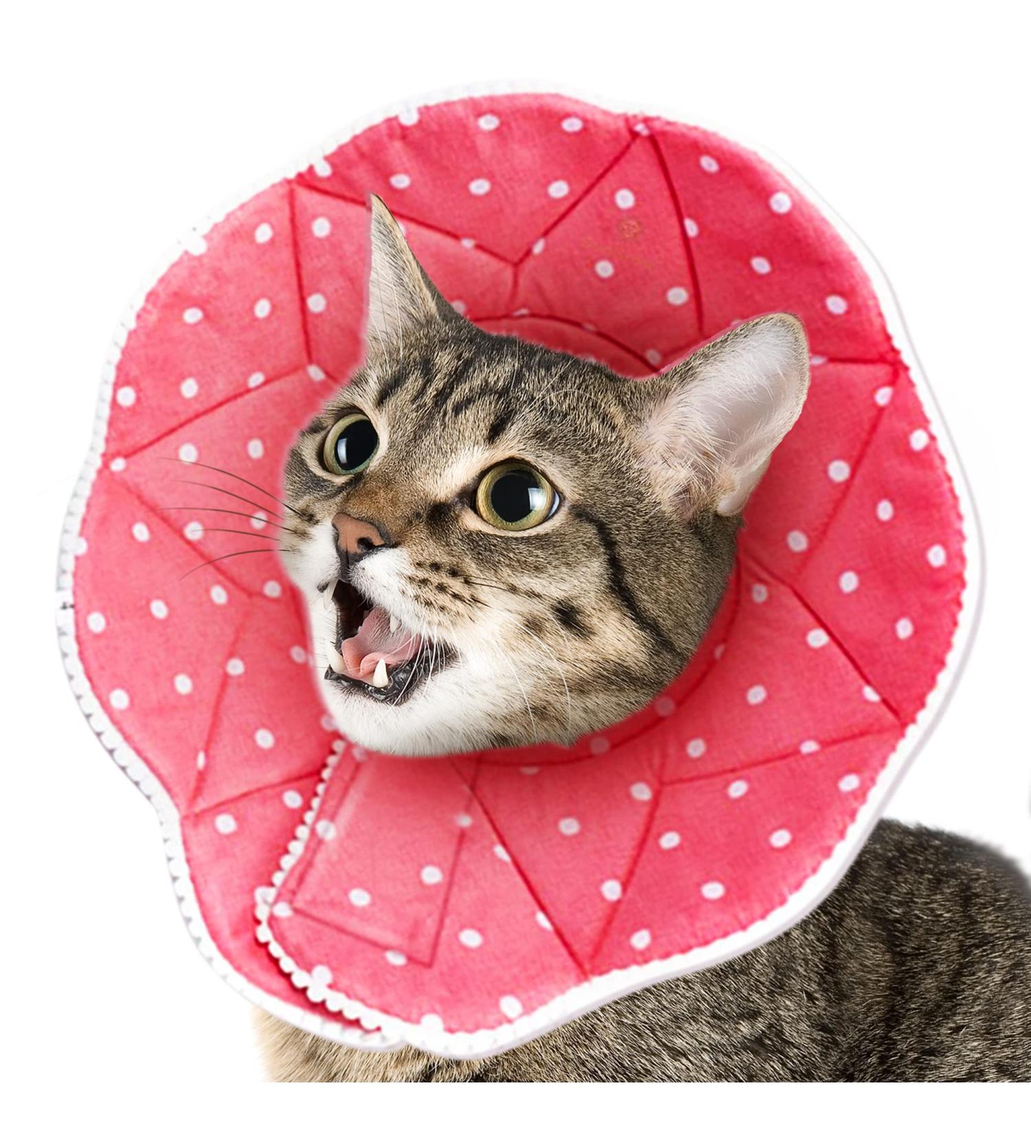 SunGrow Cat Cone Collar 9-10.5 Neck Size Pink - Soft E-Collar for Recovery & Stress Relief - Adjustable Strap Enclosures - Buy Online on GoSupps.com